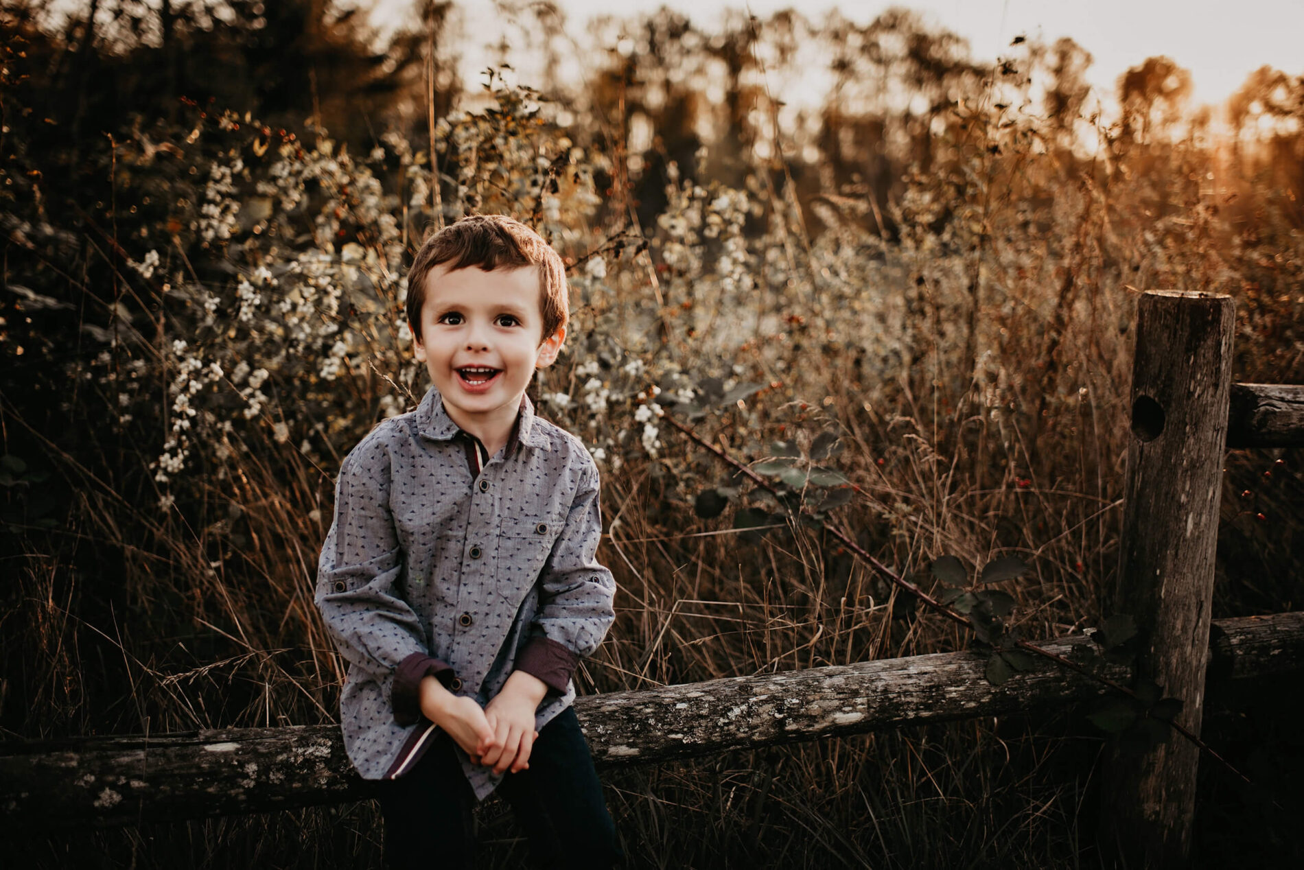 A young boy sitting on a fence, with tall grass and wildflowers in the background