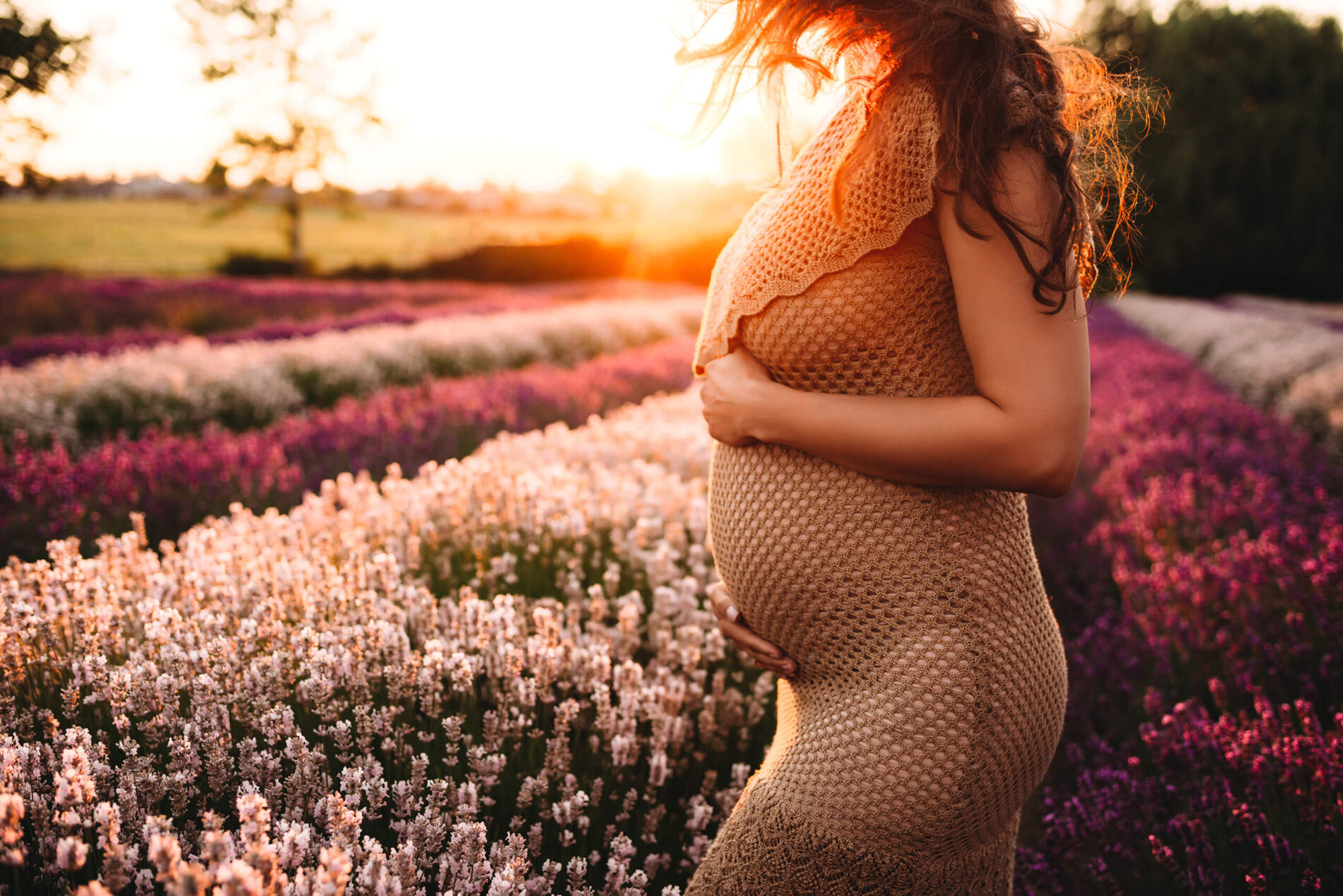 A close-up on a figure of a pregnant woman during sunset, in a lavender field