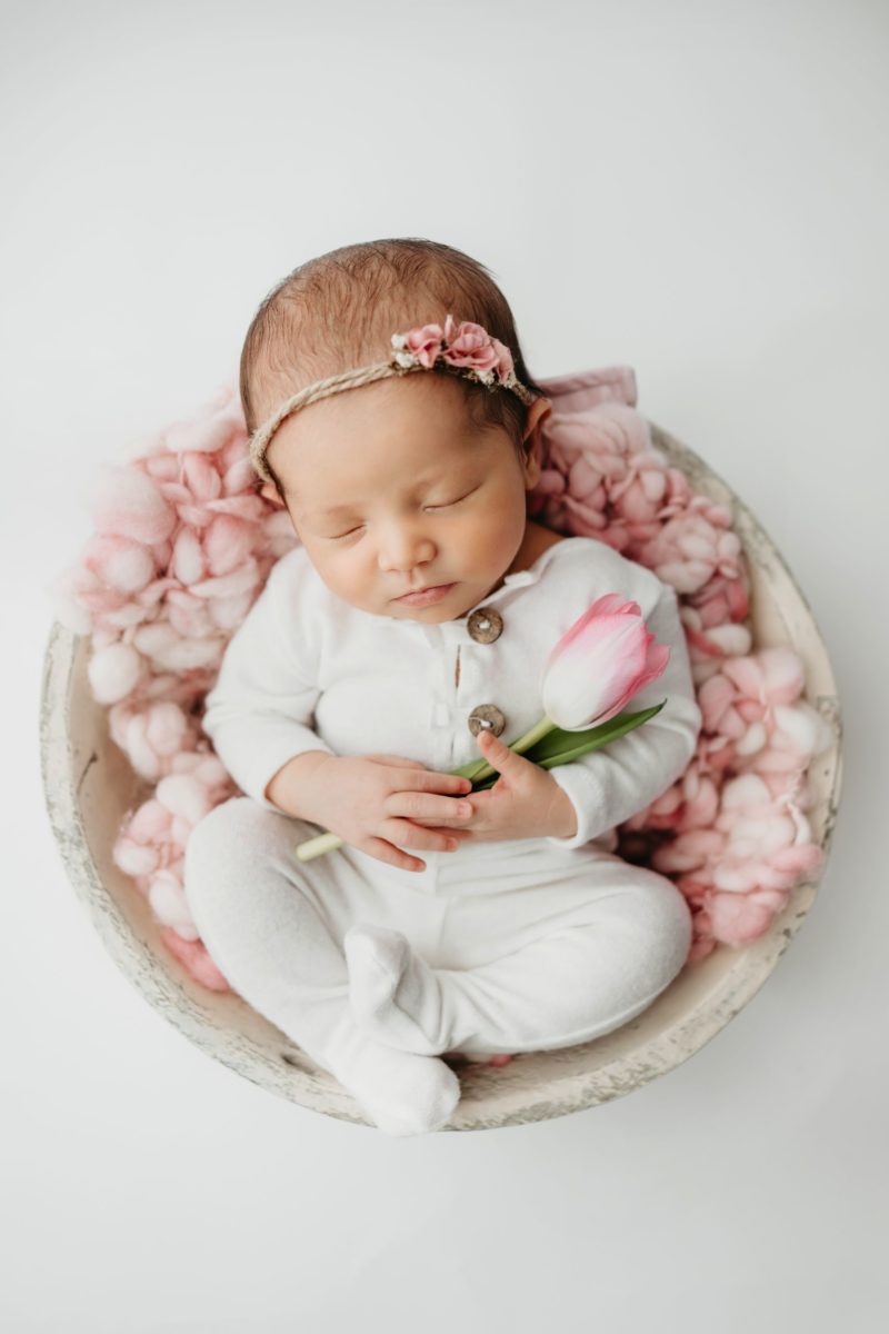 A beautiful newborn girl sleeping in a round basket holding a flower