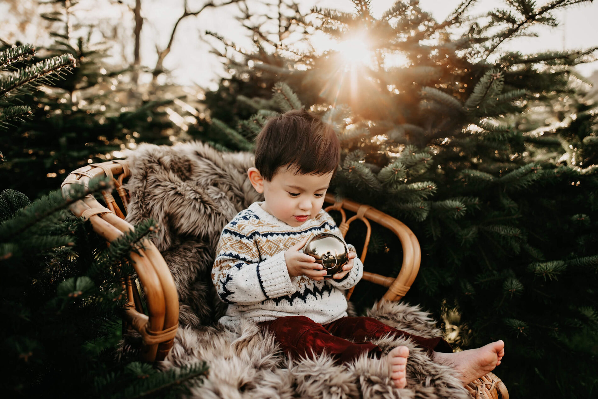 A young boy sitting in chair looking at a Christmas tree ornament at a tree farm