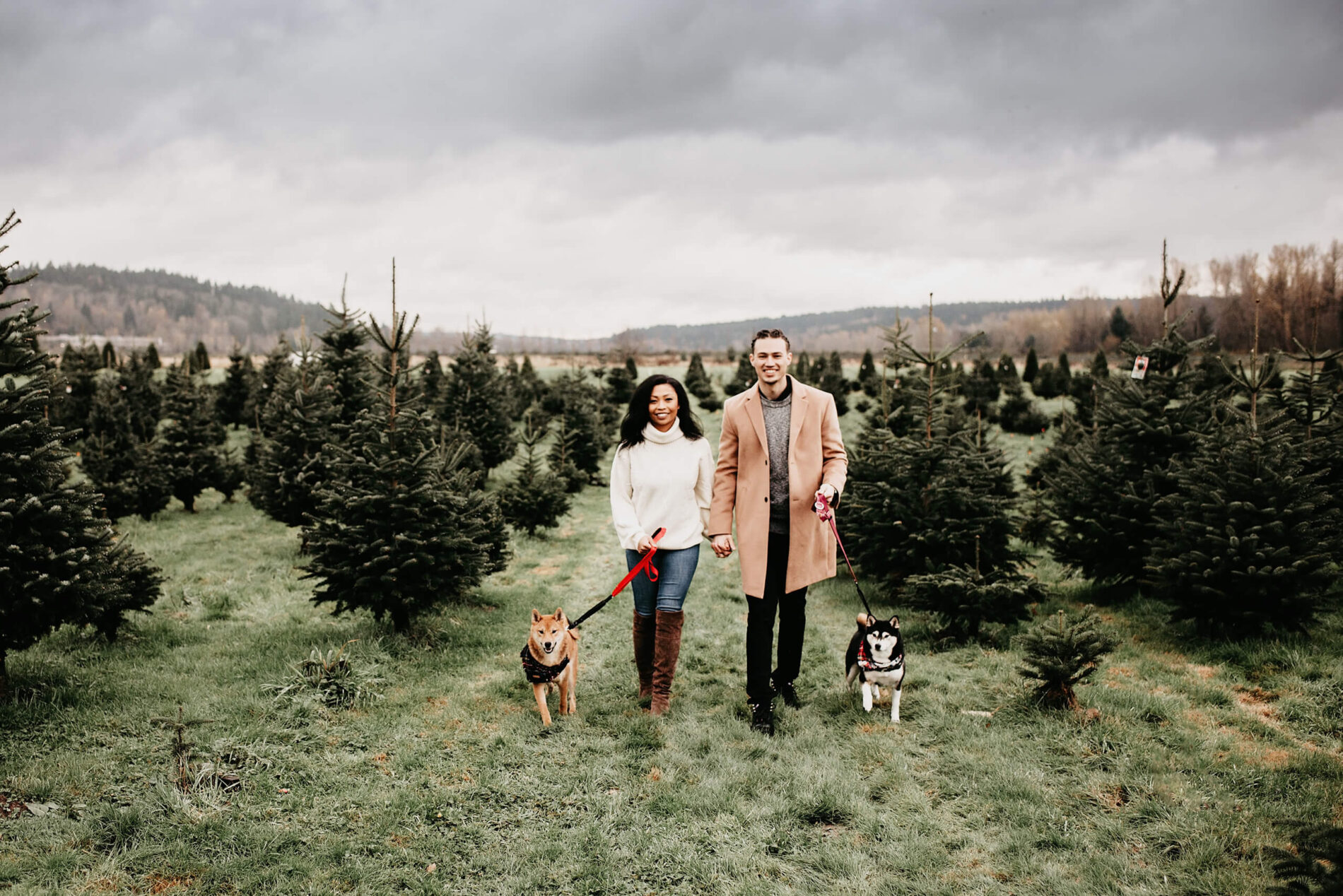 Young couple holding hands walking their two dogs at a Christmas tree farm in Redmond, WA