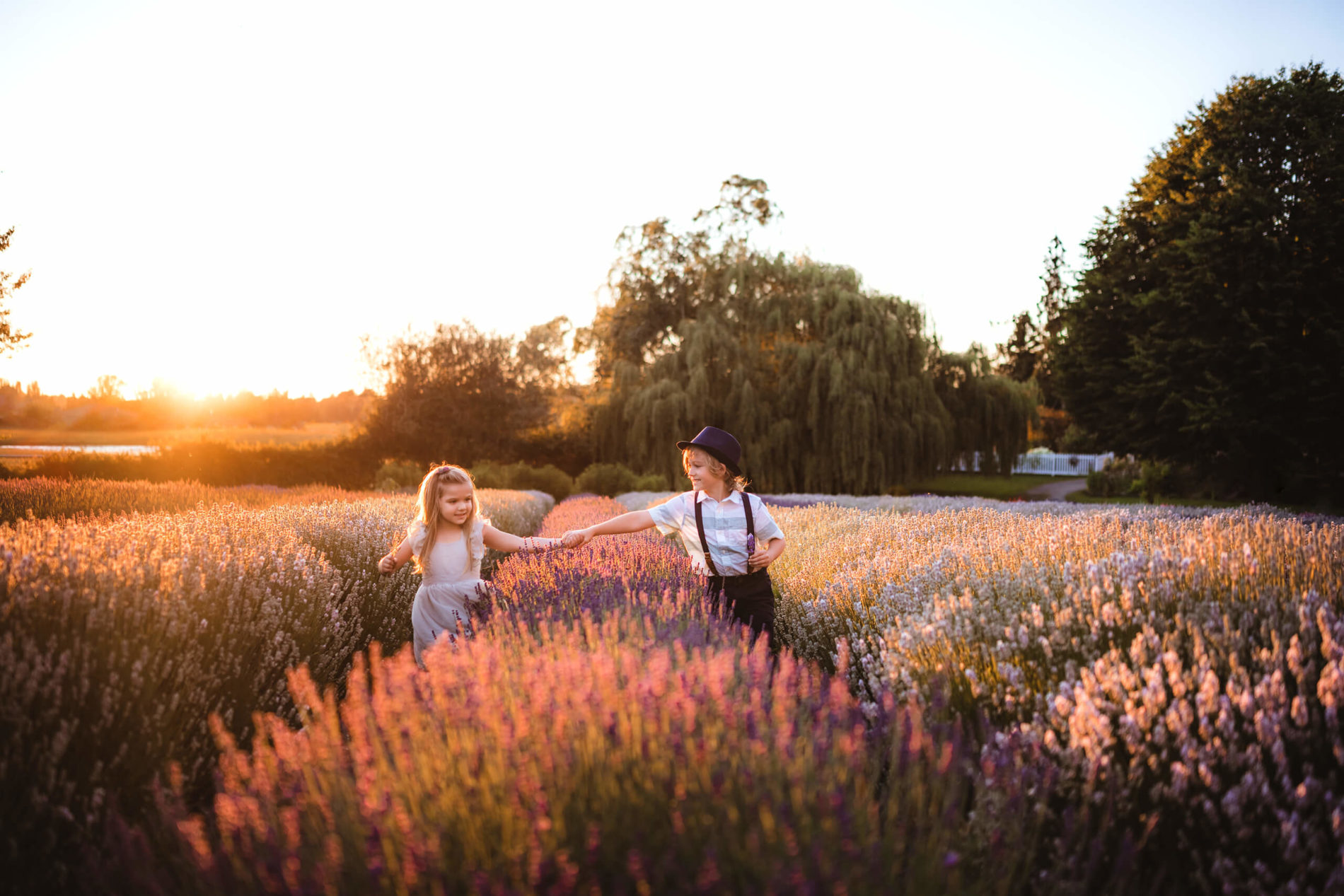 Brother and sister holding hands and walking through a stunning lavender field during sunset