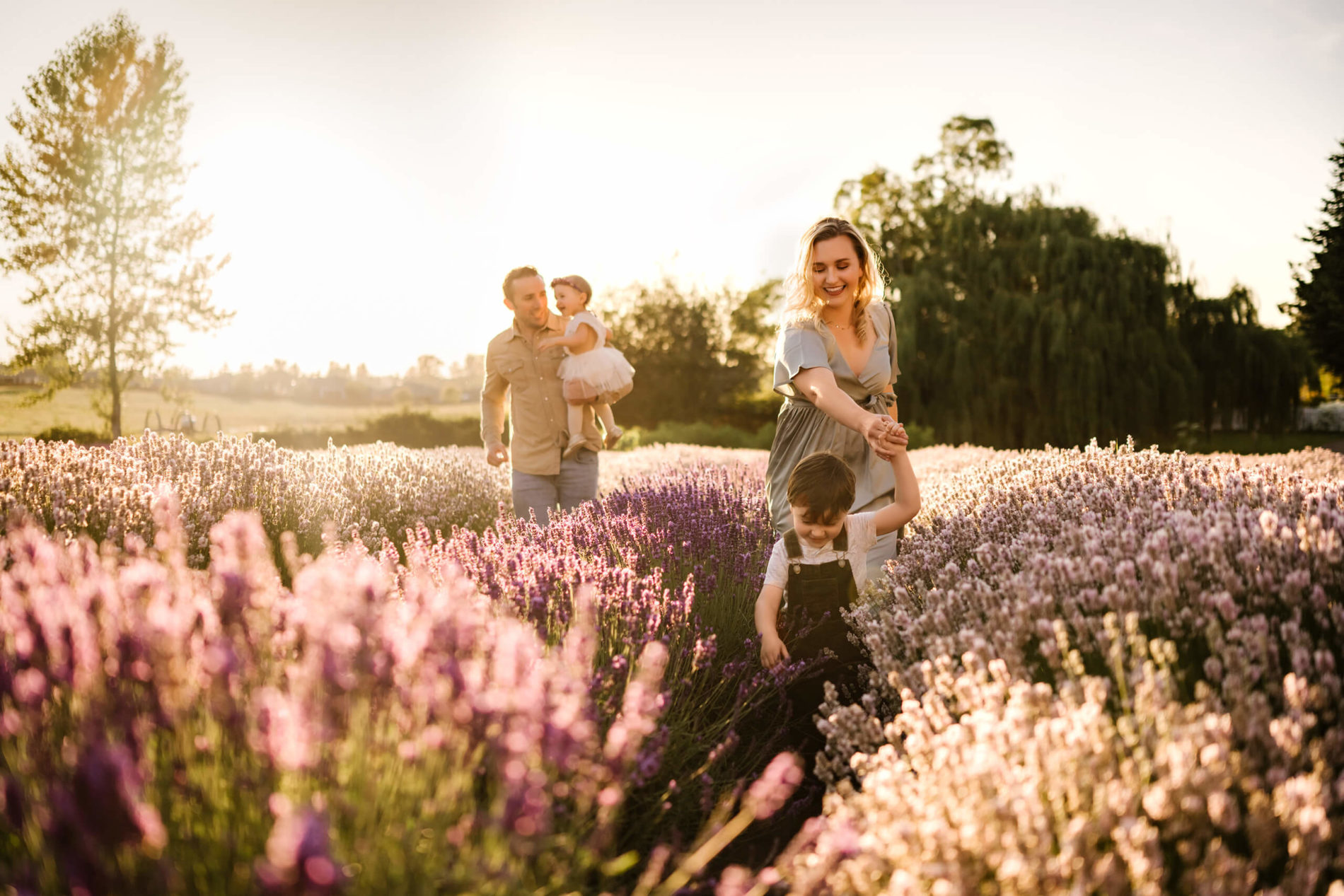 Mom walking with her son through a lavender field with dad and younger daughter in the background