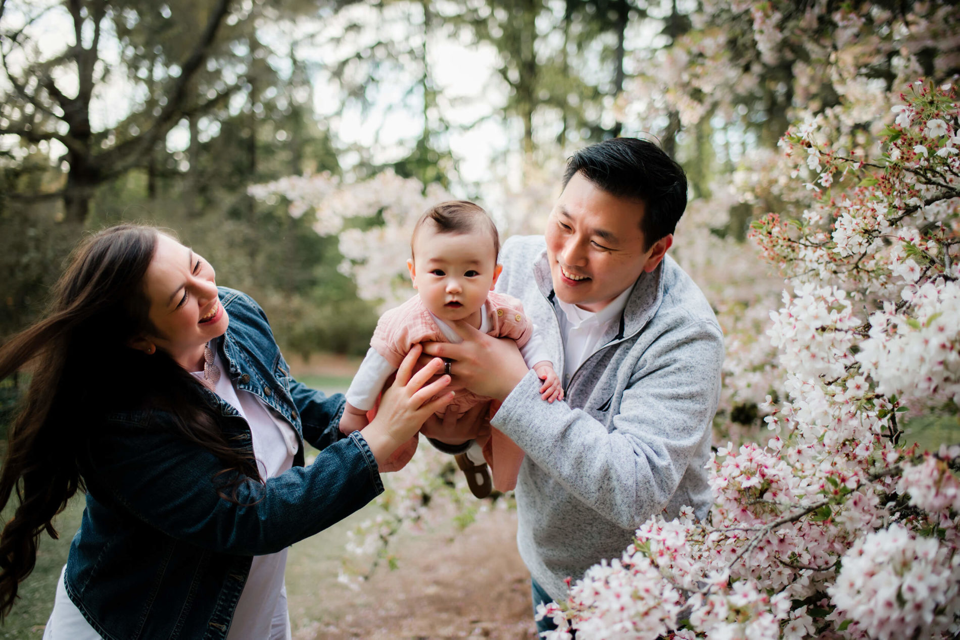 Seattle family photo shoot in the spring, mom and dad playing with their young daughter surrounded by cherry blossom trees