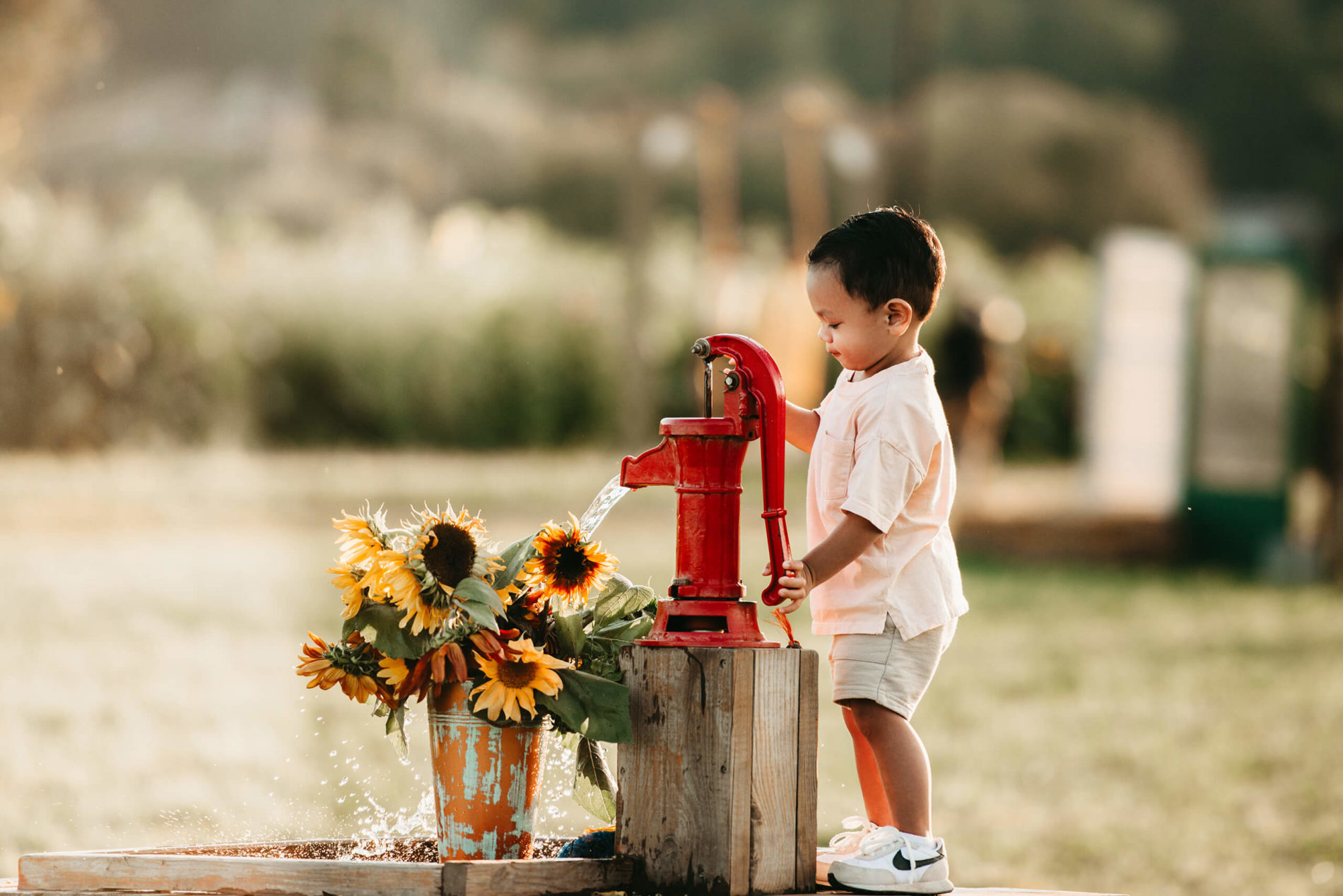 A cute boy pumping water at pump over his sunflower bucket