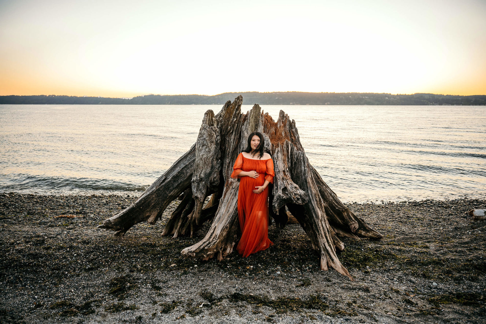 A pregnant woman in a red gown in front of a large piece of drift wood on a beach in Seattle area