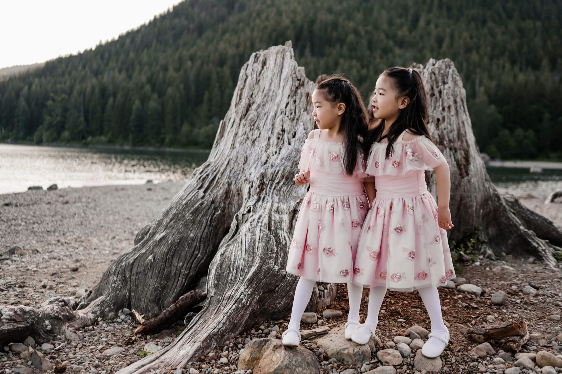 Young twin girls holding hands next to a large tree stump with lake and mountains in the background
