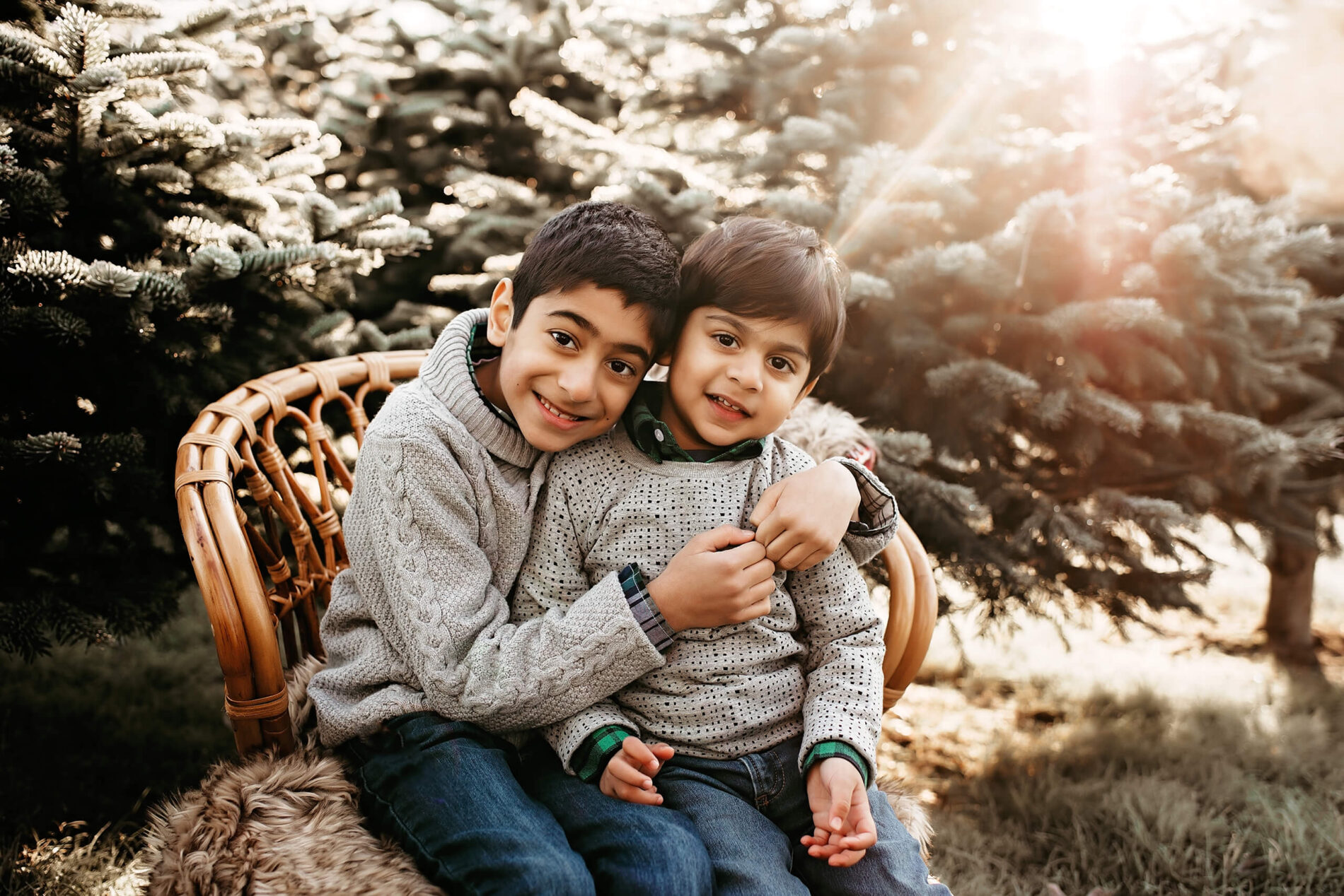 Two brother sitting in a chair, hugging, at a Christmas tree farm