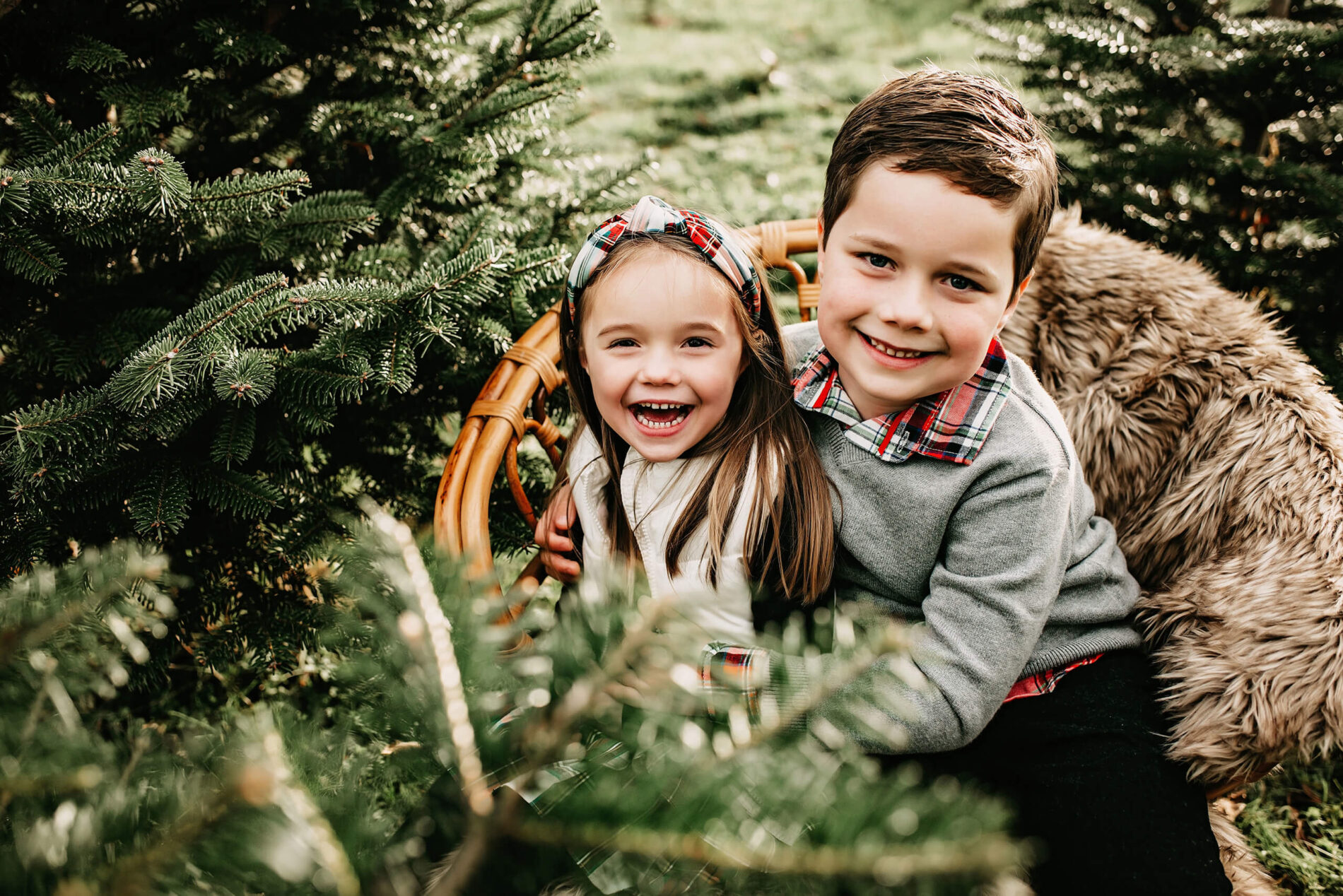 Brother hugging his sister, both sitting in a wooden chair at a Christmas tree farm