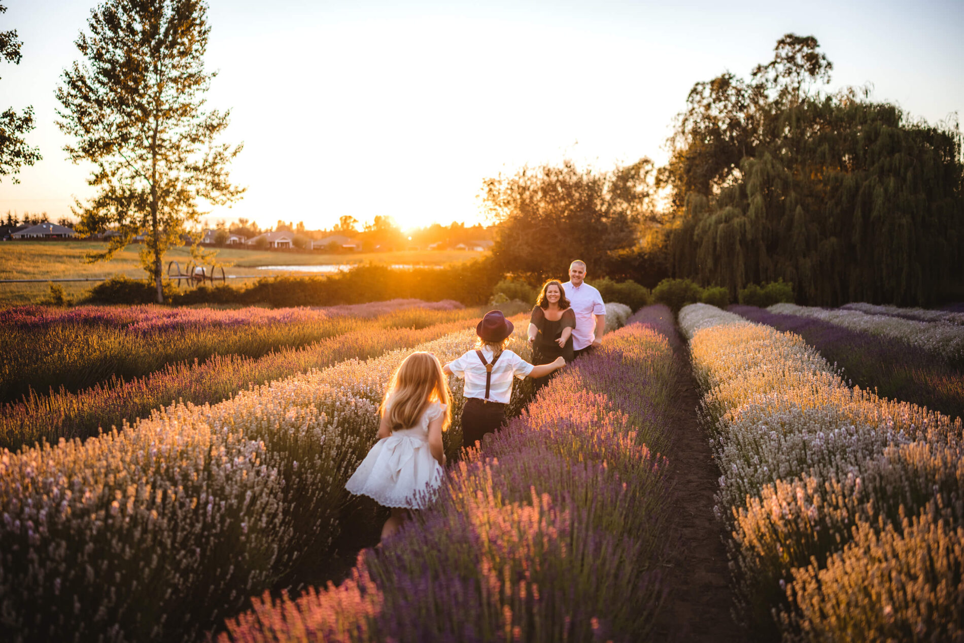 A young boy with is sister running toward mom and dad at a lavender farm during beautiful sunset