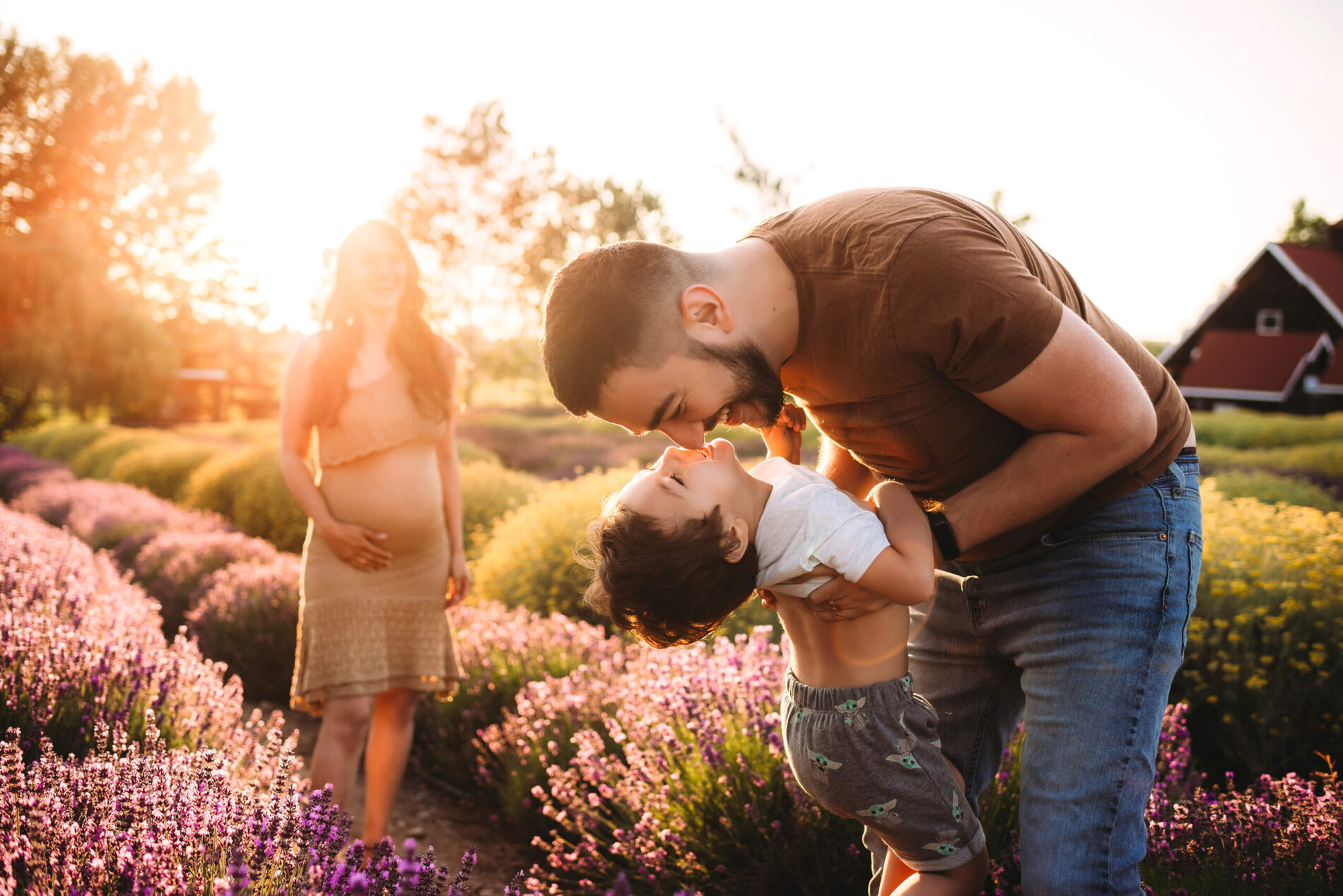 Father kissing his son with pregnant wife in the background standing in a lavender field during maternity photo session