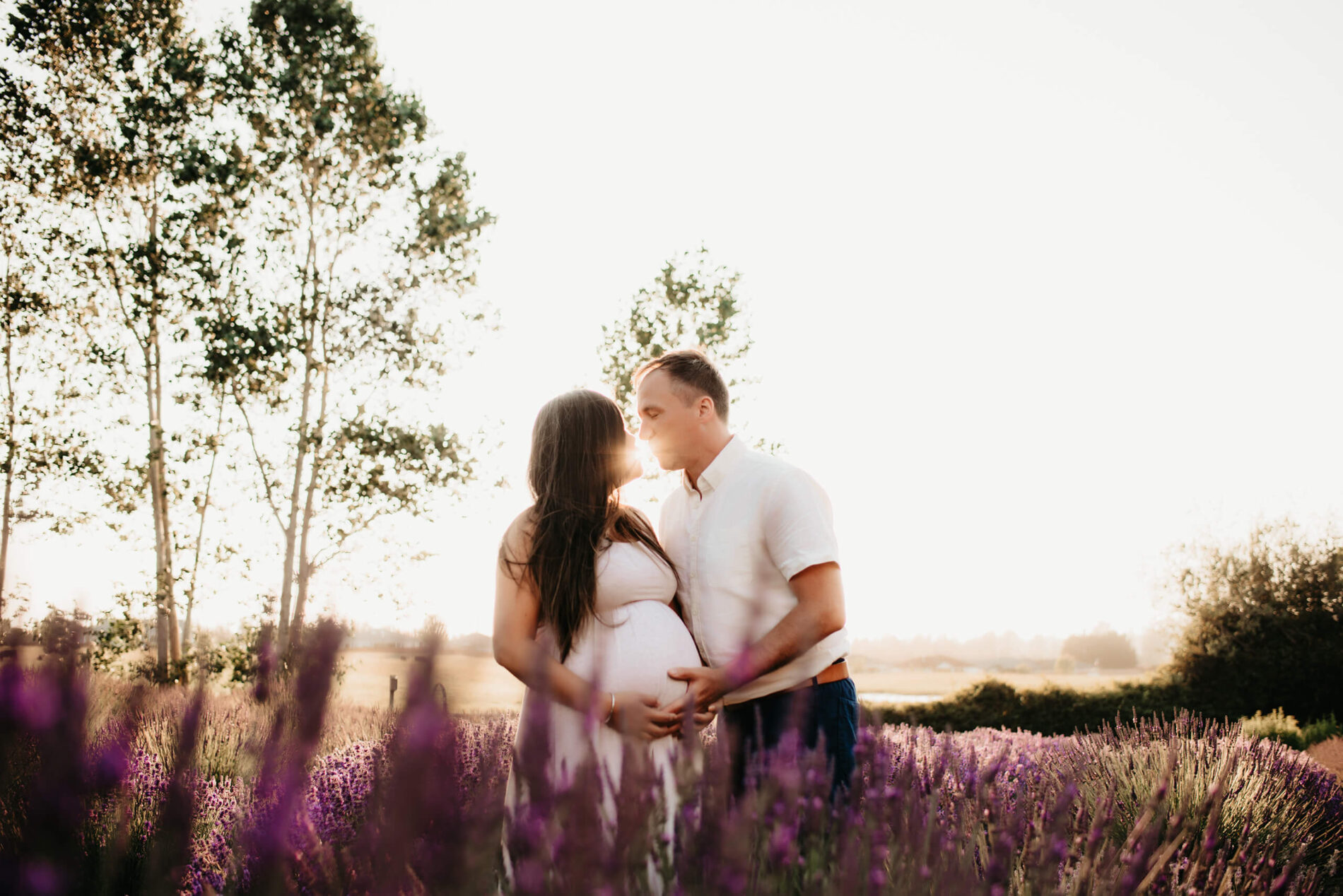 Seattle maternity photo shoot, a man kissing his pregnant wife in a lavender field during sunset
