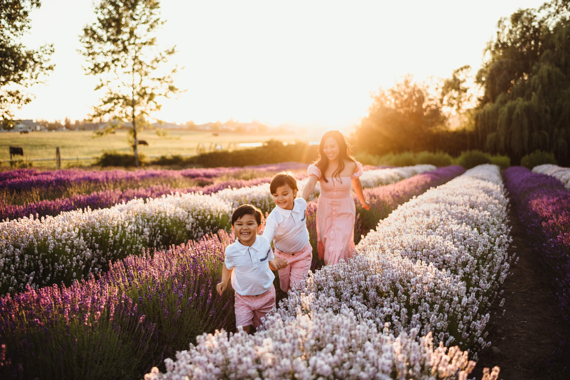 Mom running through a lavender field with her two sons, all smiling and. having fun