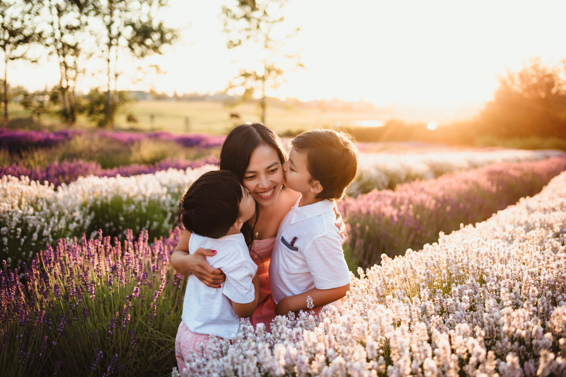 Seattle family photography, two young boys hugging and kissing their mom from two sides at a breathtaking lavender field during sunset