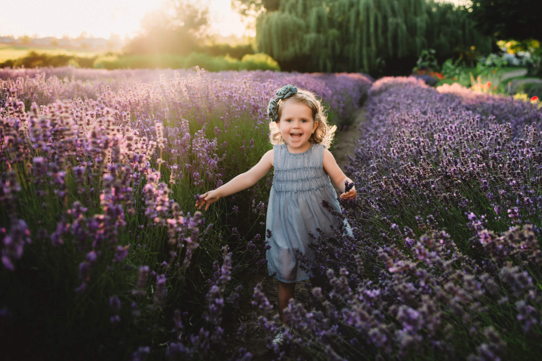 A small girl running through a beautiful lavender field