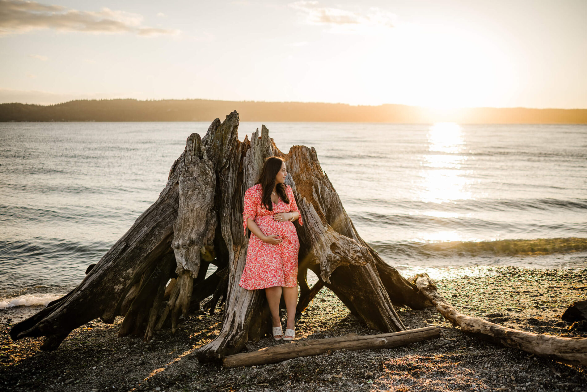 Pregnant woman in a beautiful pink dress leaning on a large tree trunk on a beach during sunset
