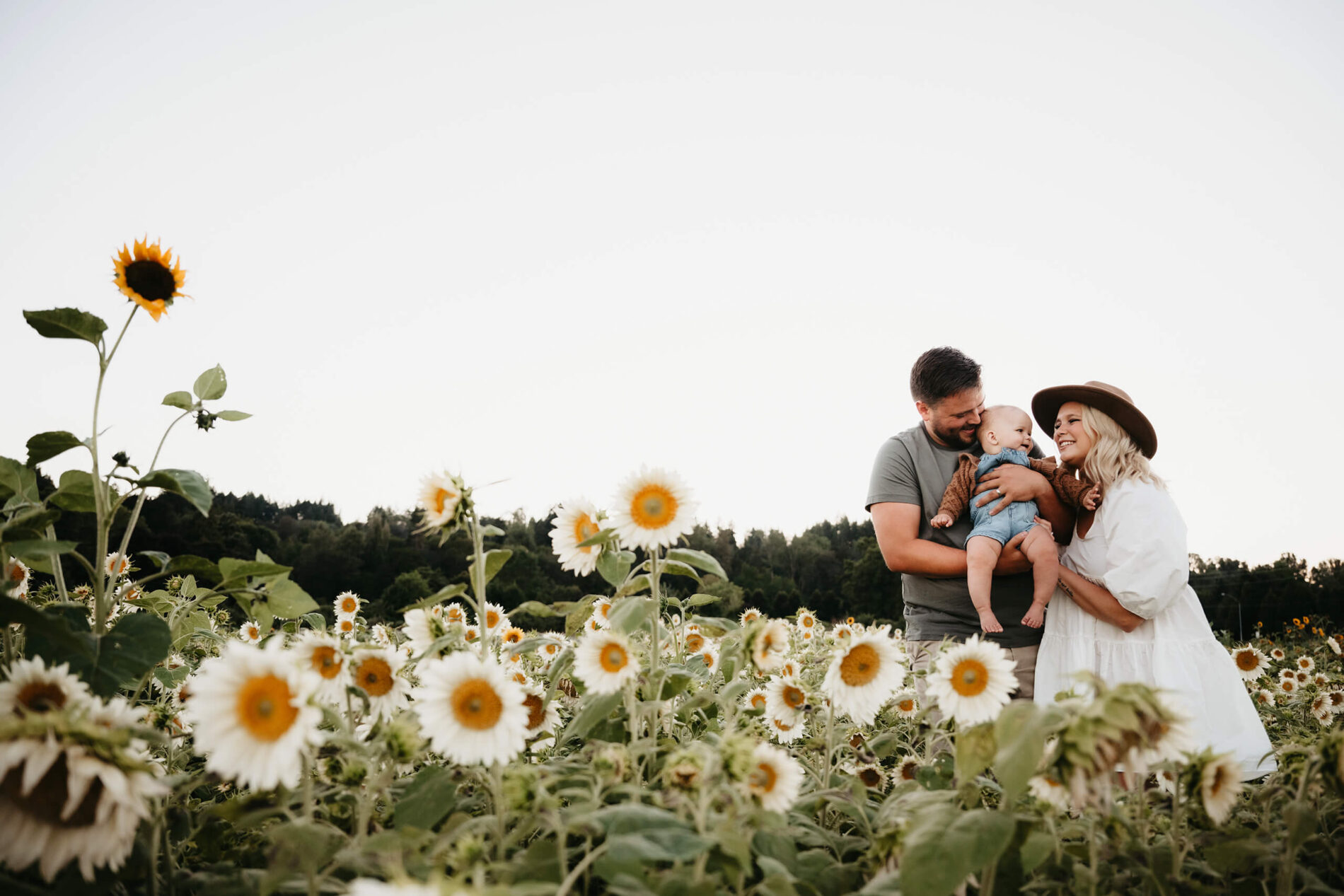 Dad, mom, with their toddler hugging in a sunflower field