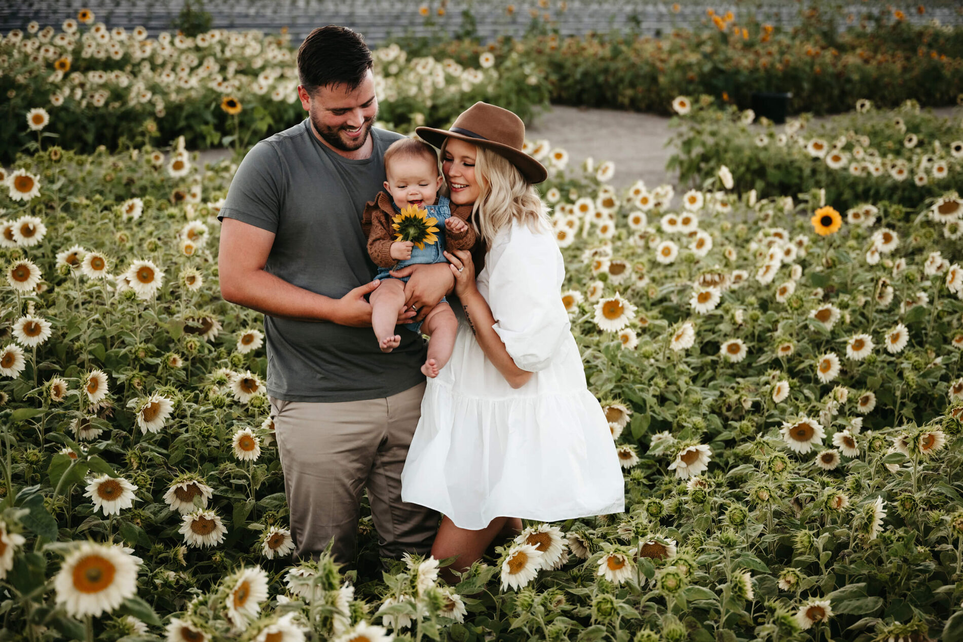 Giggling cute toddler holding a sunflower and being hugged by mom and dad