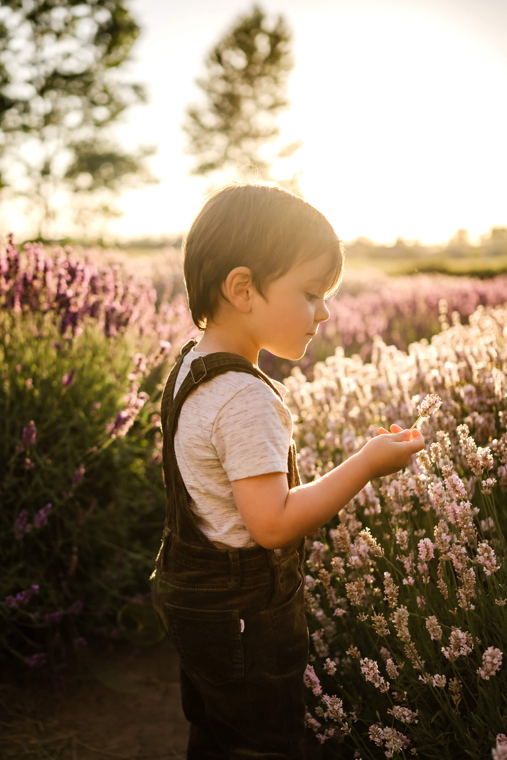 A cute boy looking at a lavender flower