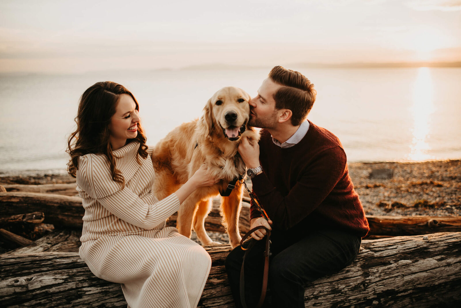 A young pregnant woman in a dress sitting on a large piece of drift wood playing with her dog, while her husband is kissing their dog