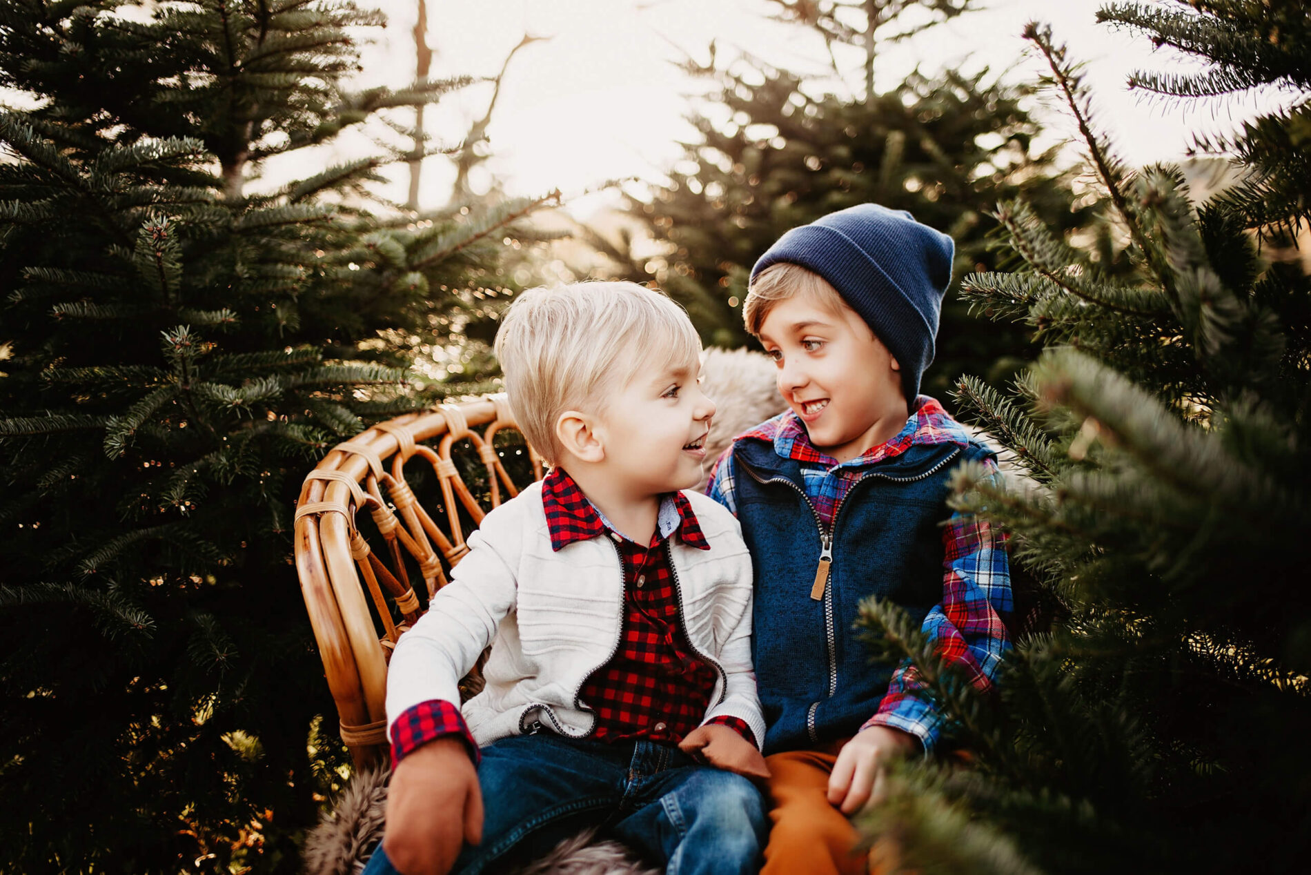 Two young brothers in festive clothe at a Christmas tree farm