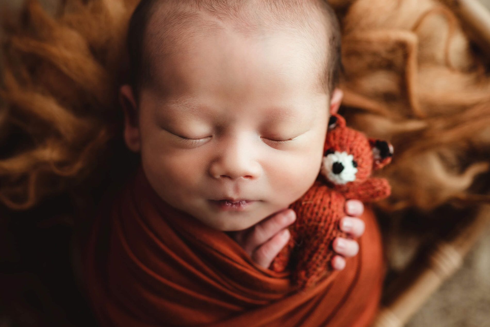 A close-up of a sleeping newborn boy, wrapped, and holding a stuffed toy