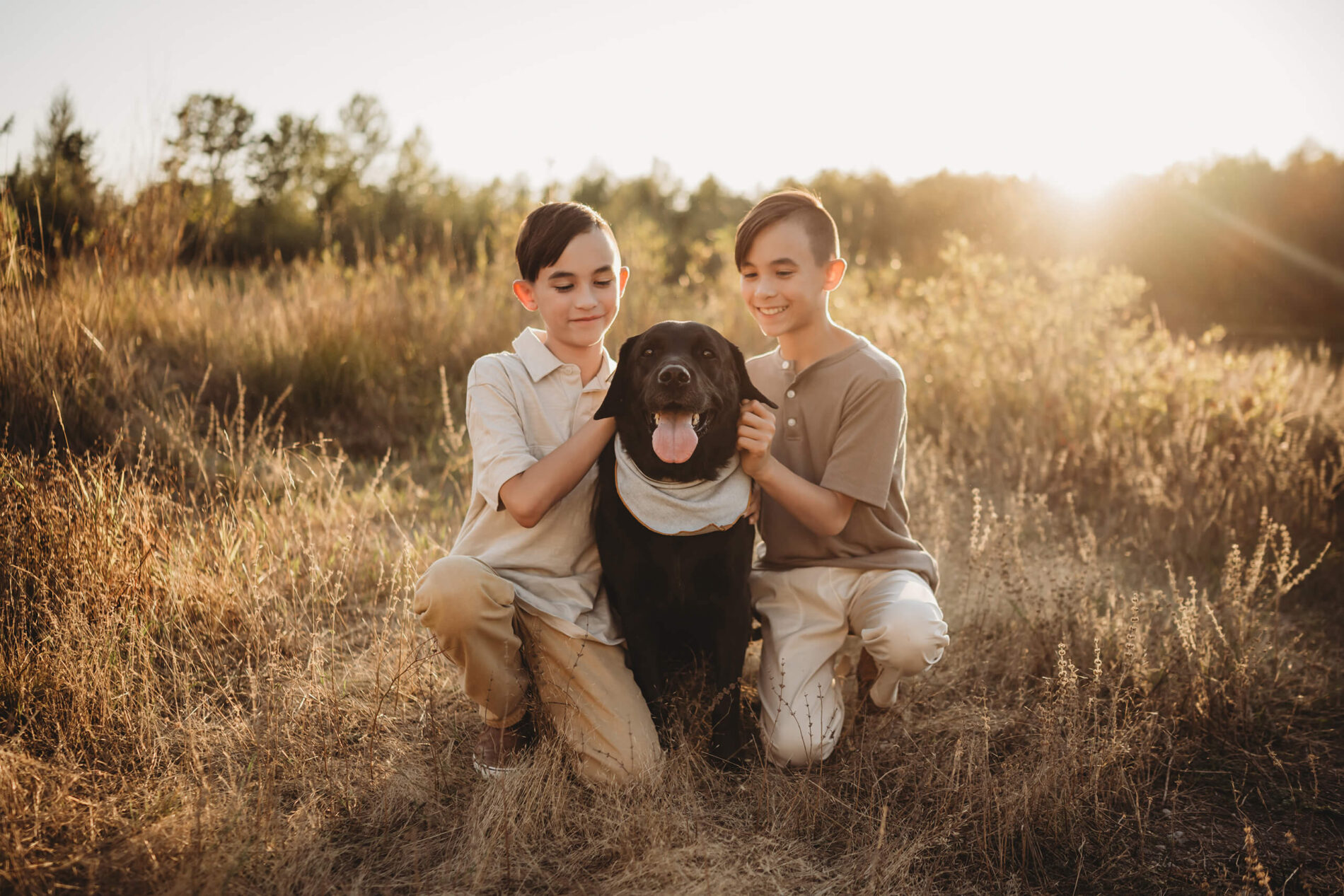 Family photography of two brothers and their dog in a beautiful sunlit field