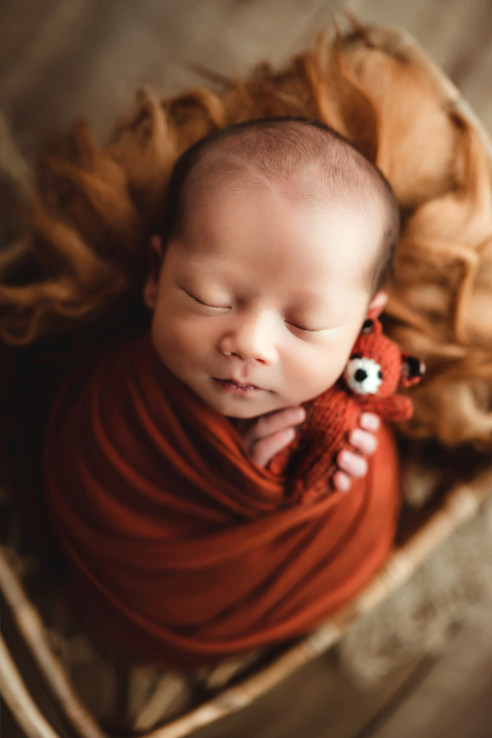 Sleeping newborn boy holding a stuffed toy.