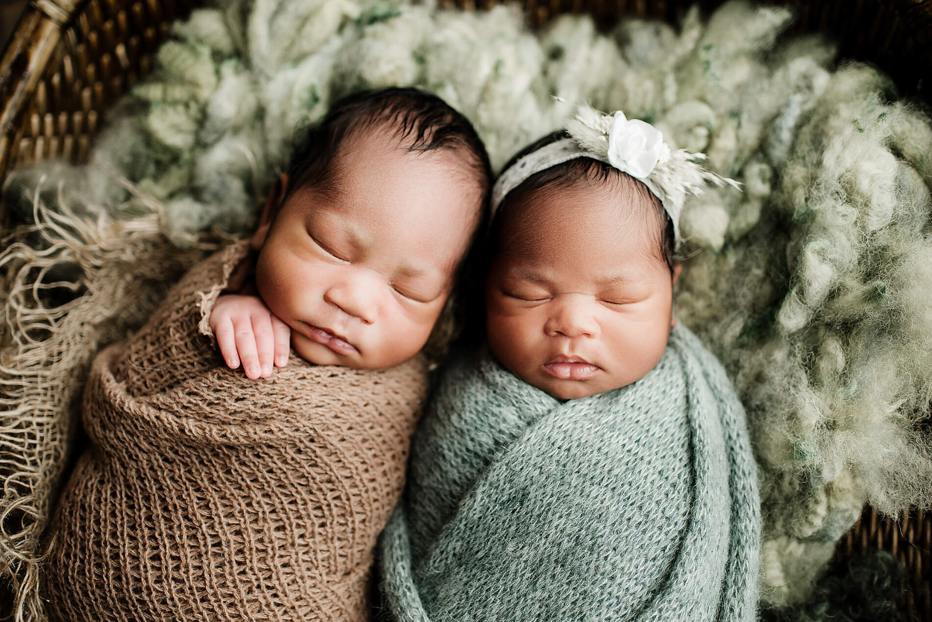 Beautiful newborn twin photo