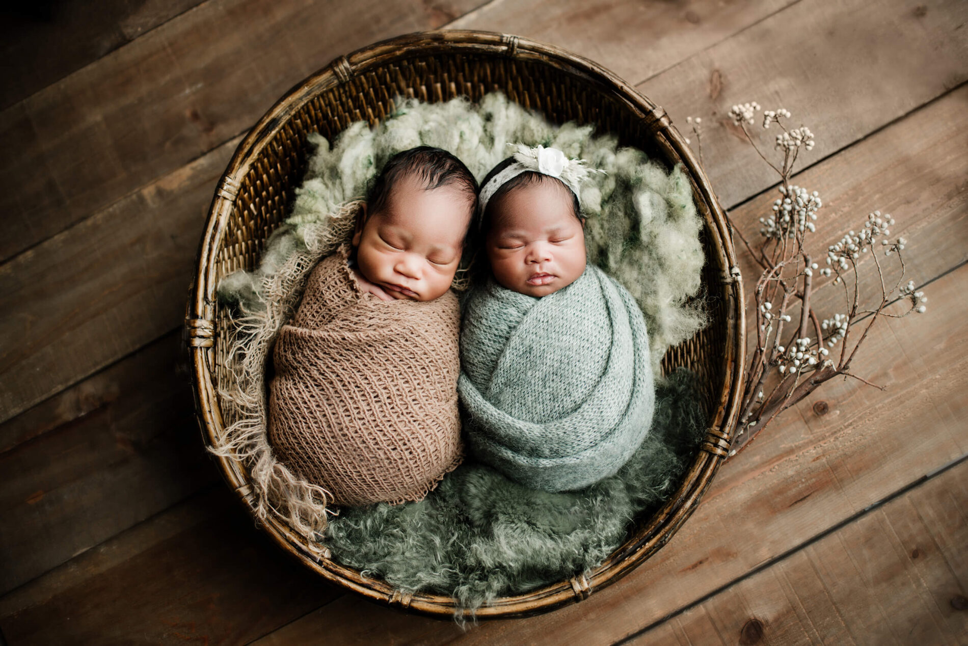 Twin newborn photo in a studio