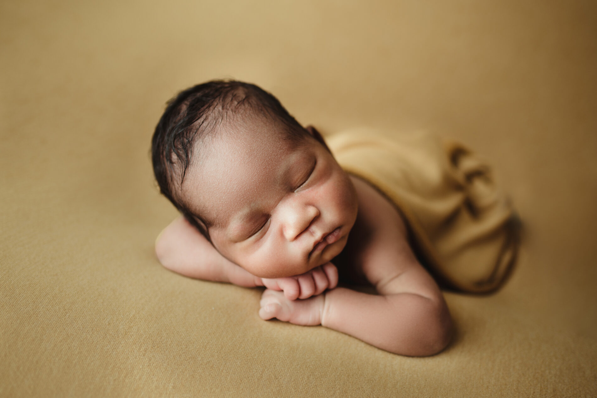 Twin newborn photo in a studio