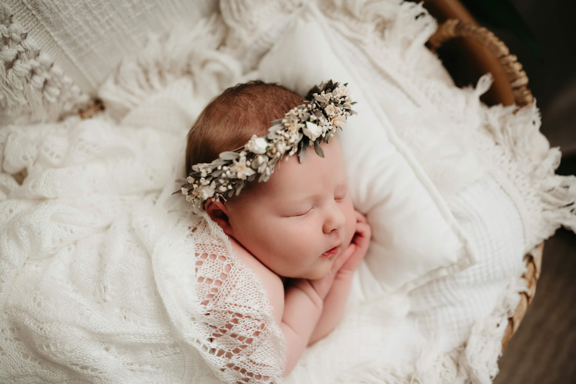 Studio newborn photo shoot of baby girl