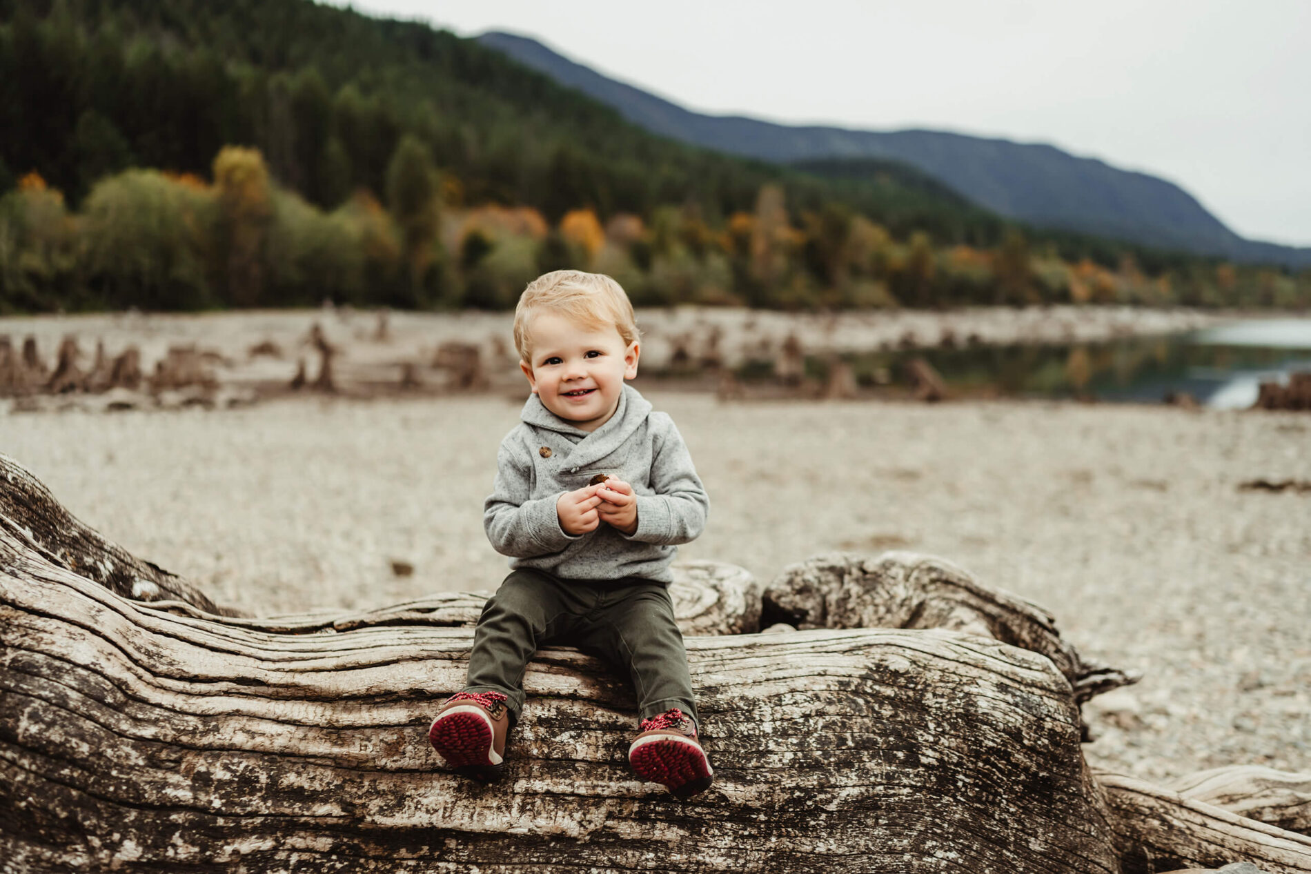 Seattle area family photography, a boy sitting on a tree trunk with mountains in the background