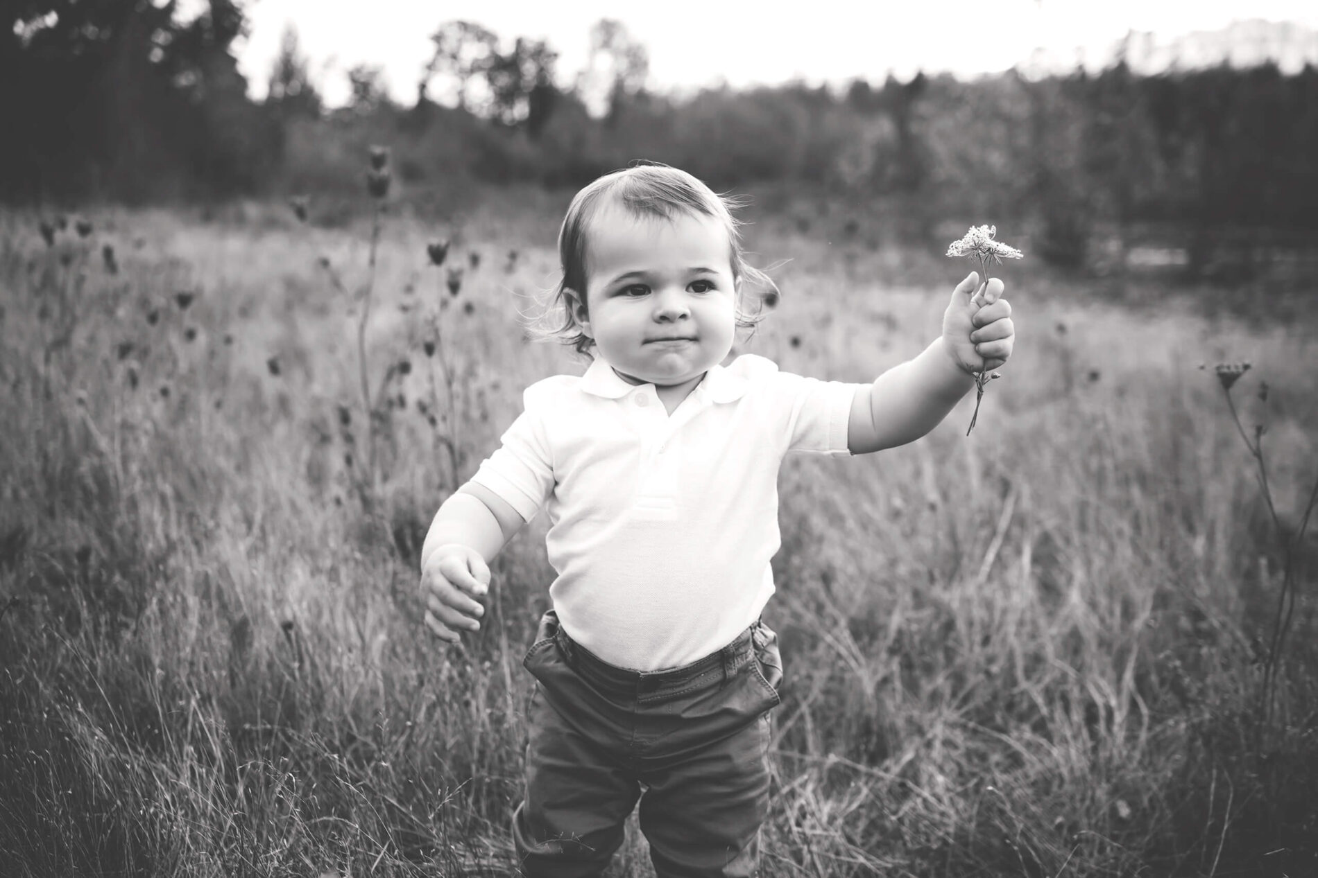 Toddler boy in a field during family photoshoot in Bellevue area