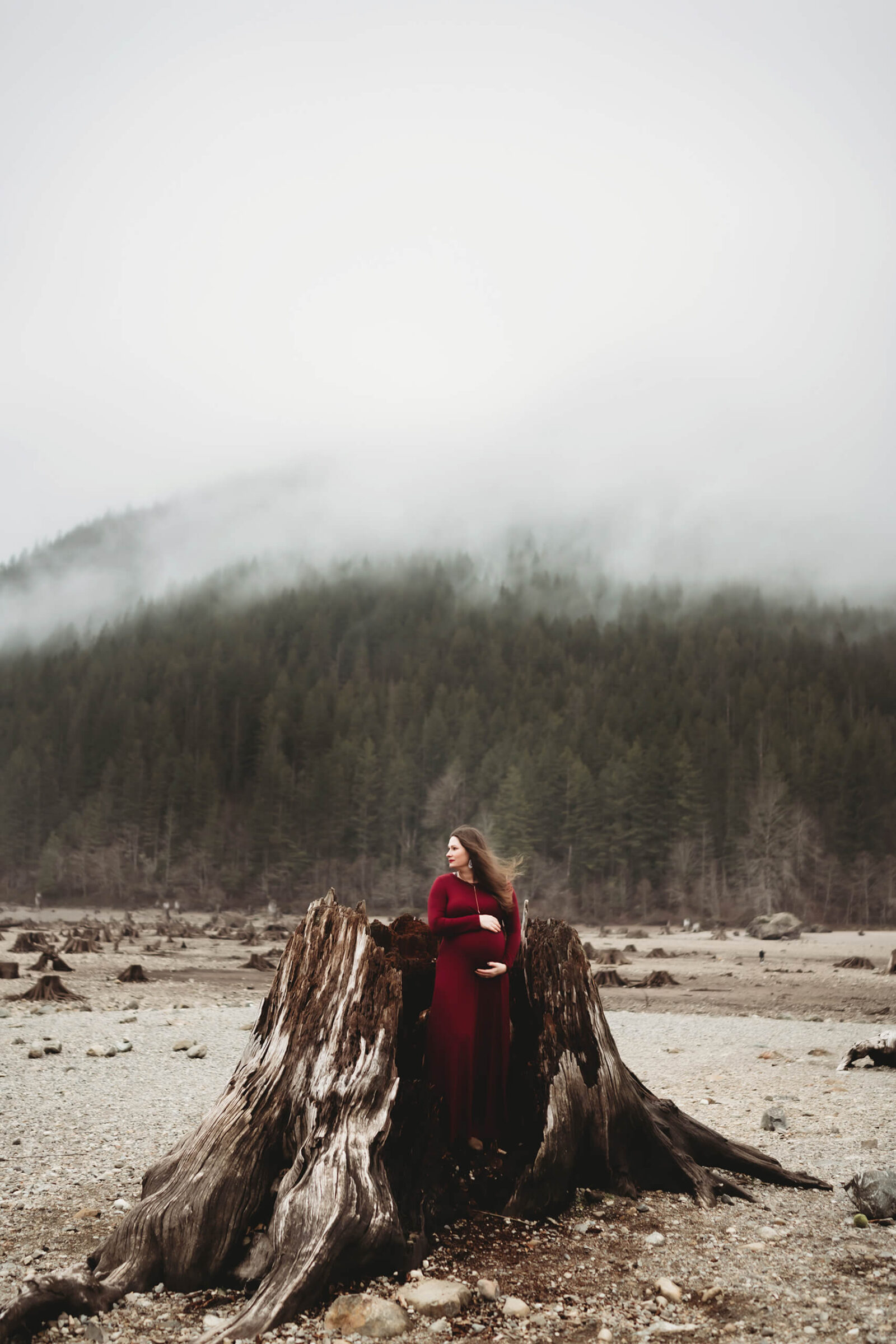 Ideas, Tips & Inspiration for Maternity, Newborn & Family Photography