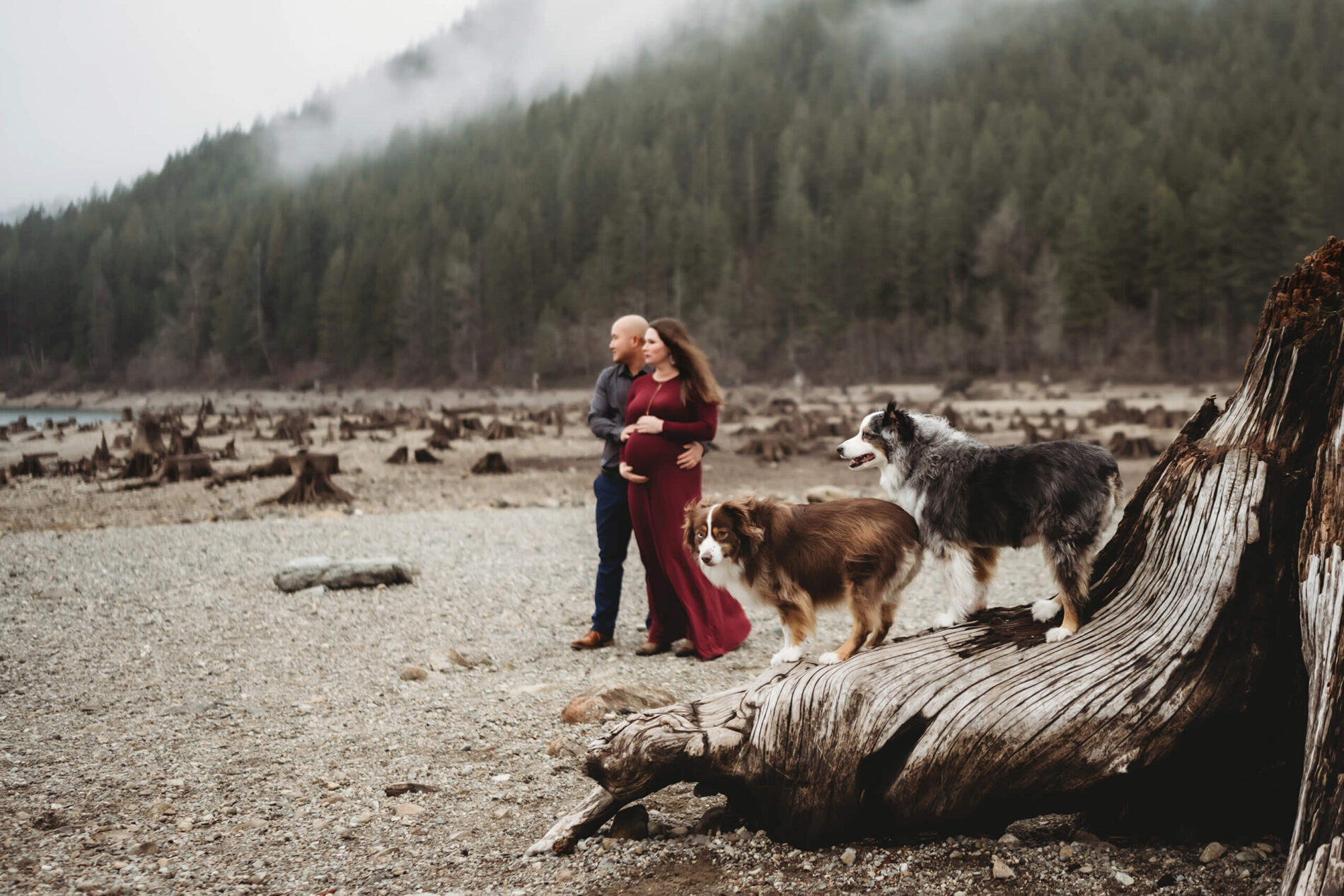 A couple posing with their pets during an outdoor winter maternity photo shoot