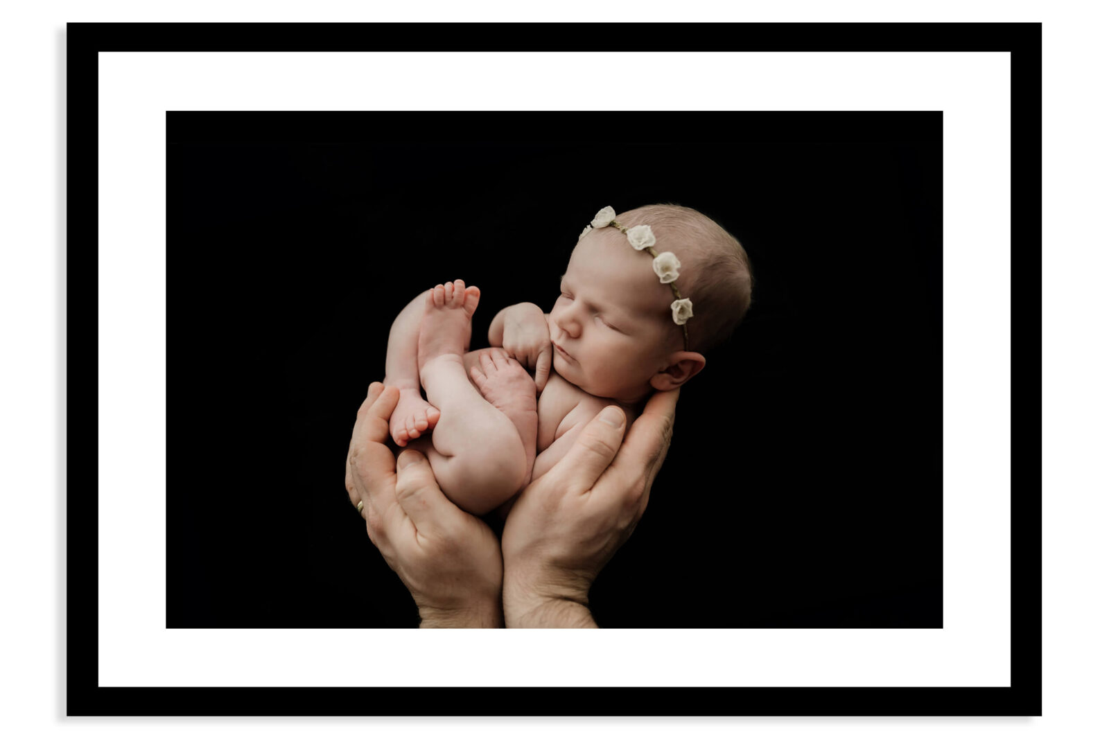 Newborn curled in a parent’s hands on a dark backdrop, wearing a floral headband during a Seattle newborn family photoshoot in studio