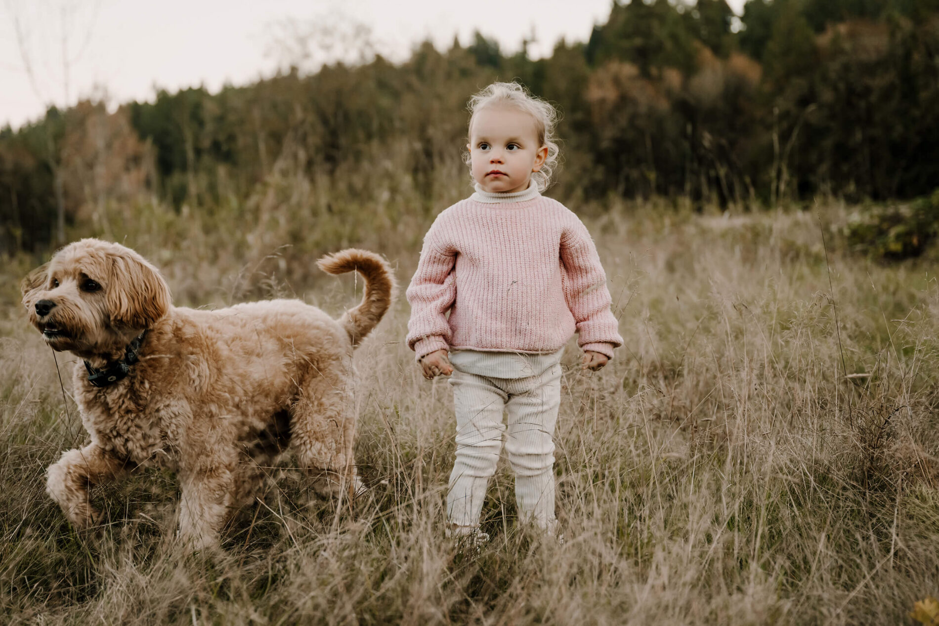 Bellevue area children photography