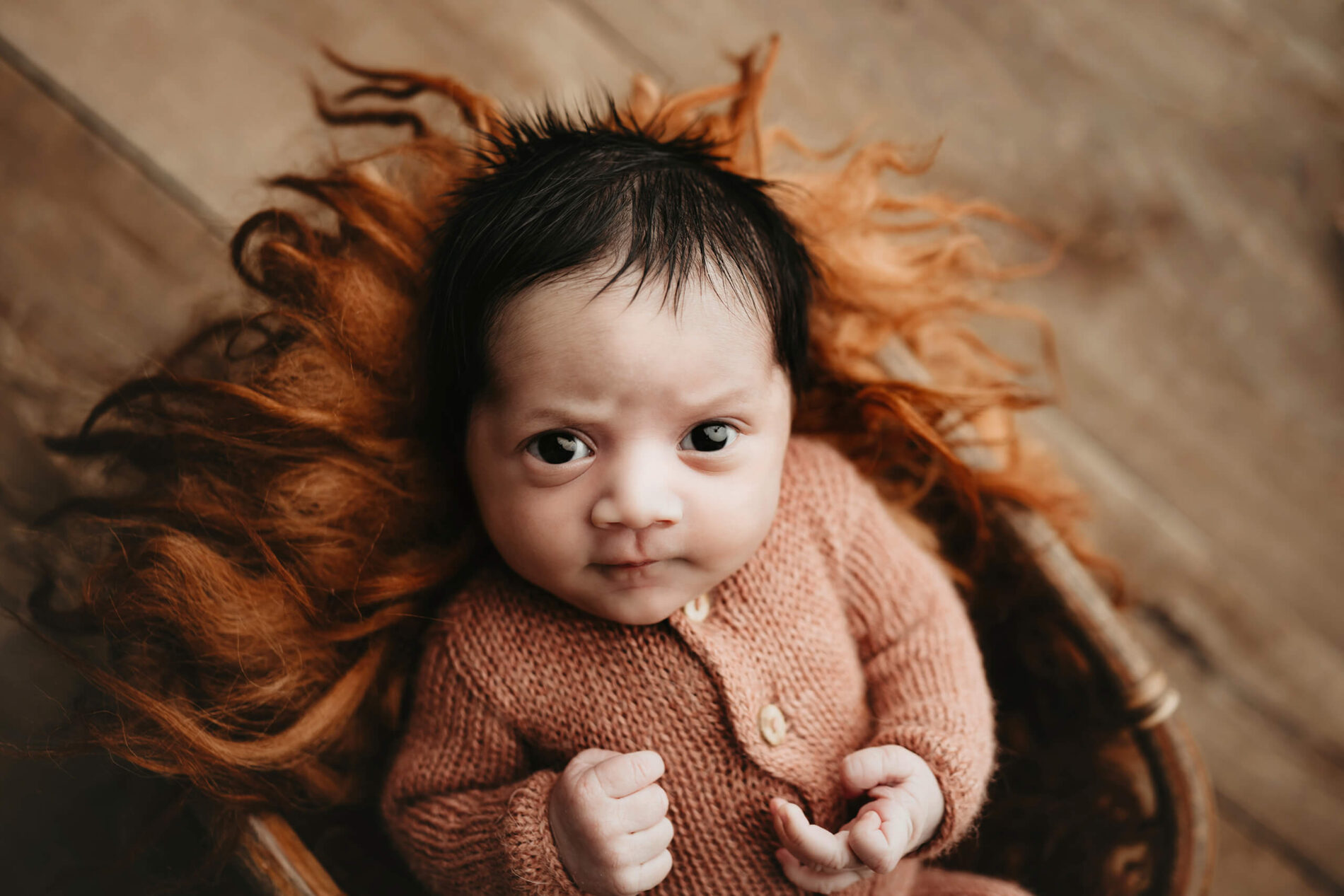 Baby boy awake, looking straight into the camera with big eyes during newborn photo shoot in Bellevue