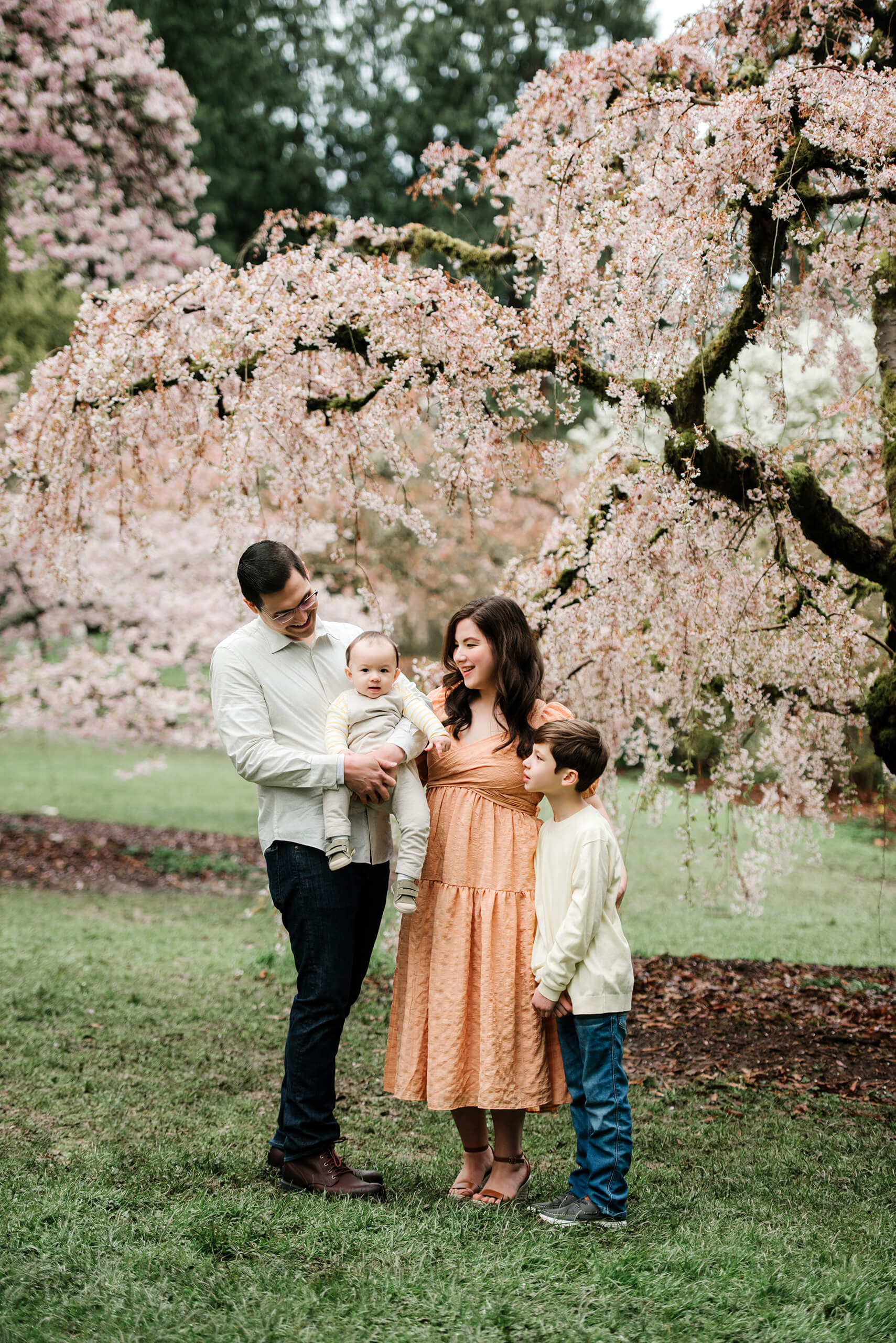Seattle cherry blossom family photo shoot at Washington Park Arboretum for a family of four.
