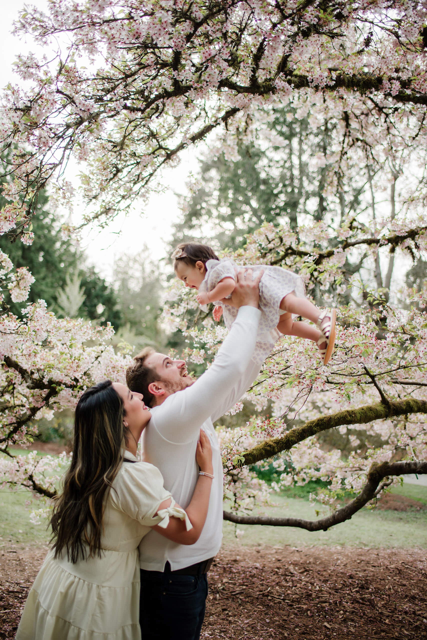 Seattle spring family sessions, mom and dad playing with their daughter under cherry blossoms