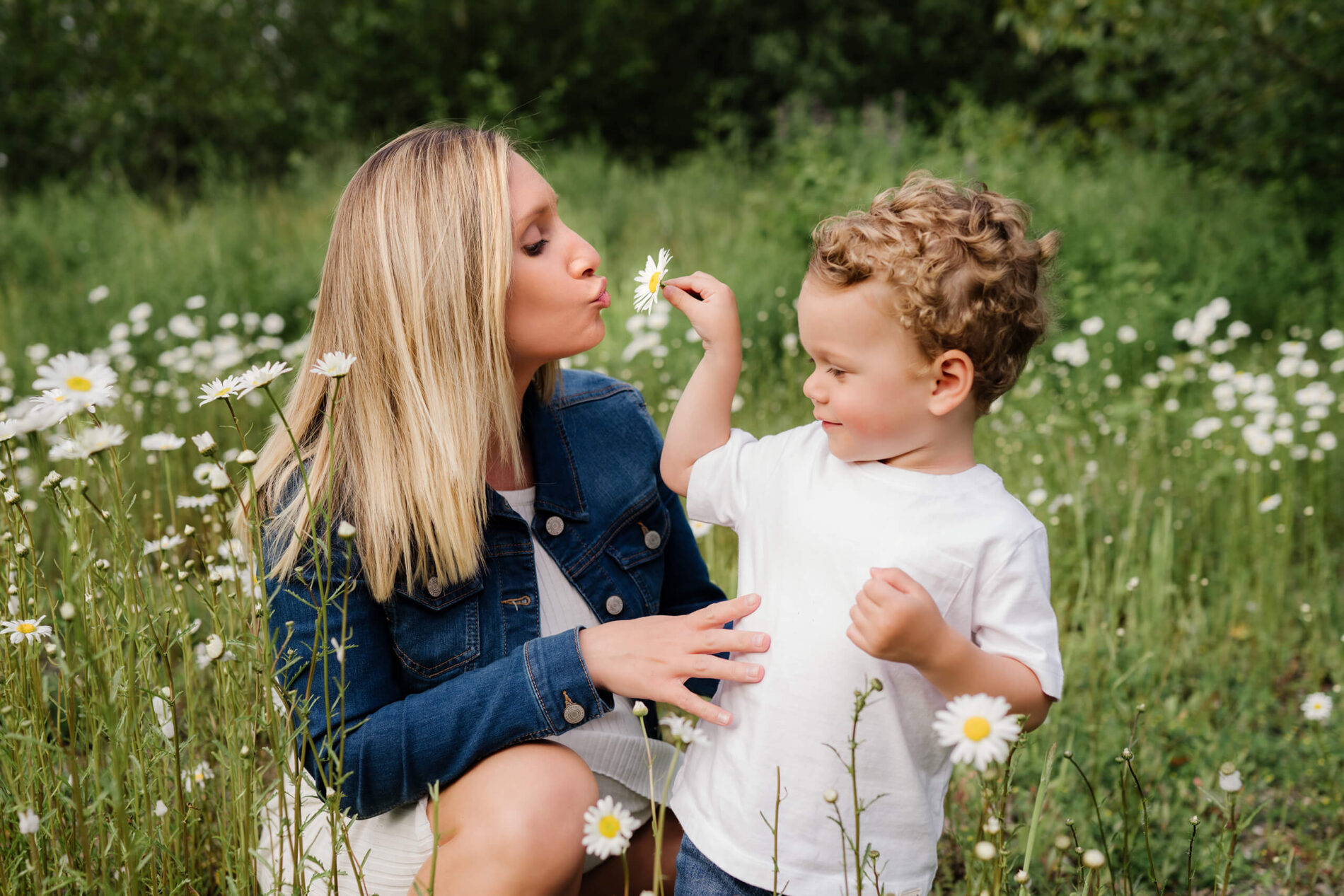 Pregnancy family photo shoot, mom with her toddler in a field of wild flowers in Redmond, WA