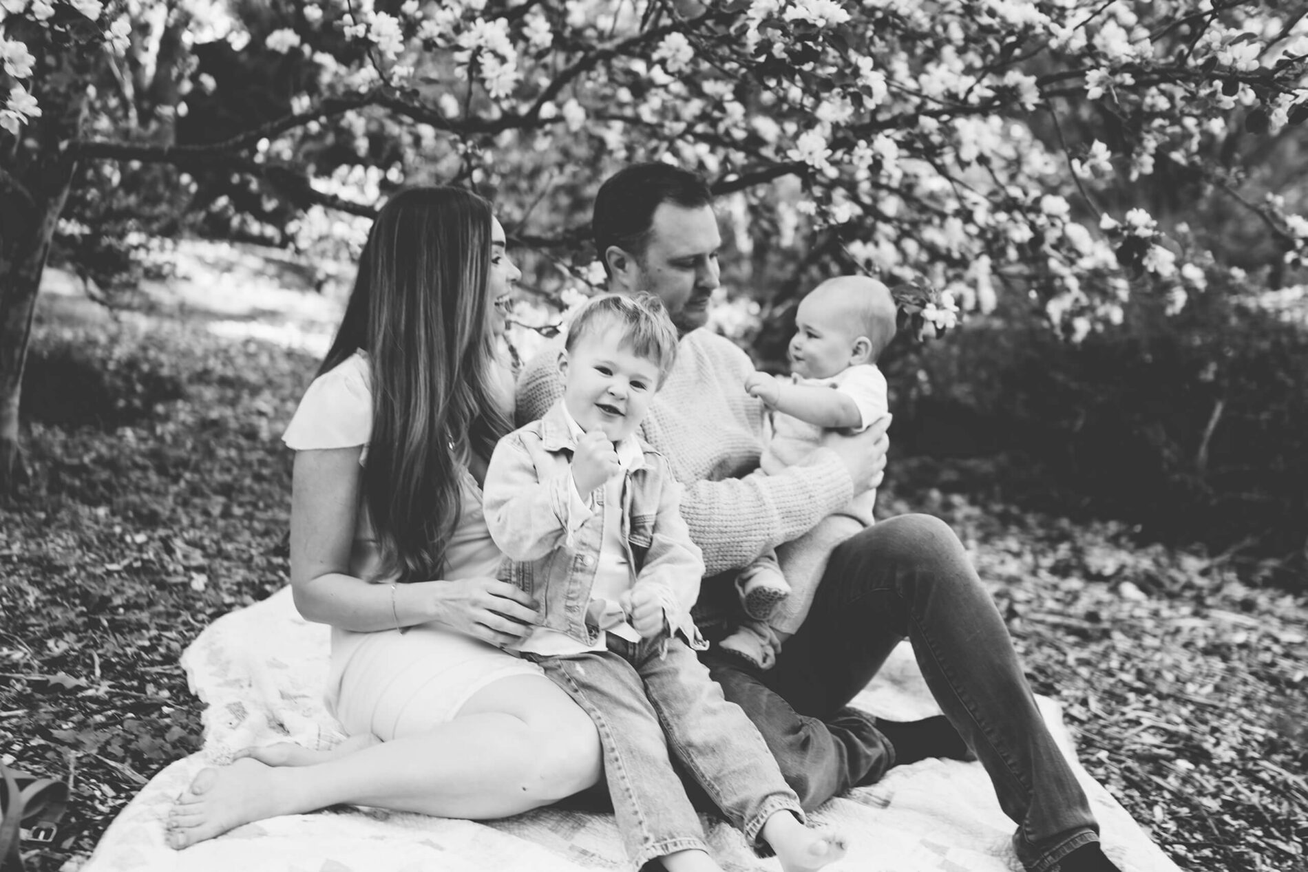 Spring family photo session in Seattle, black and white photo of family sitting under a tree with blooming flowers and having fun