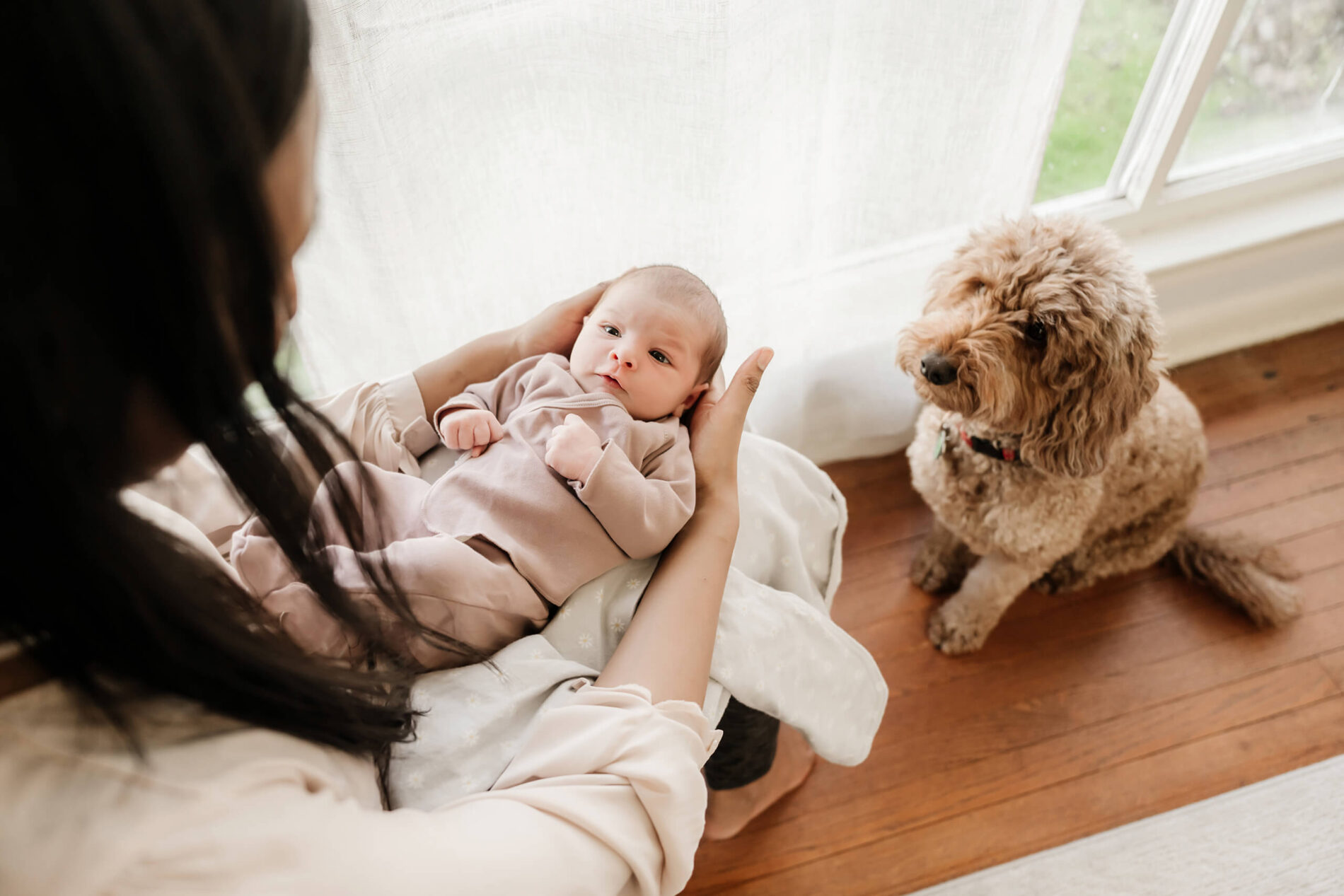 In-home newborn photography in Kirkland WA. Mom holding her baby sitting next to window, with family dog looking at them.
