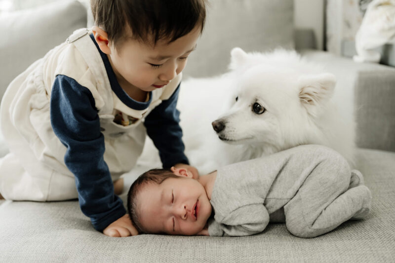 Older brother leans over his sleeping newborn sibling while the family dog sits beside them on the couch.