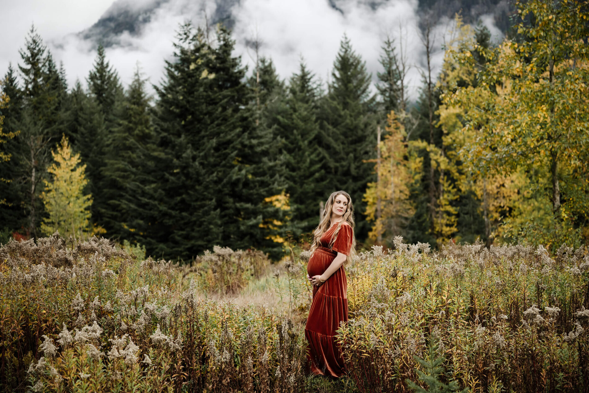 Pregnant woman in a maternity dress posed during a photoshoot in a field
