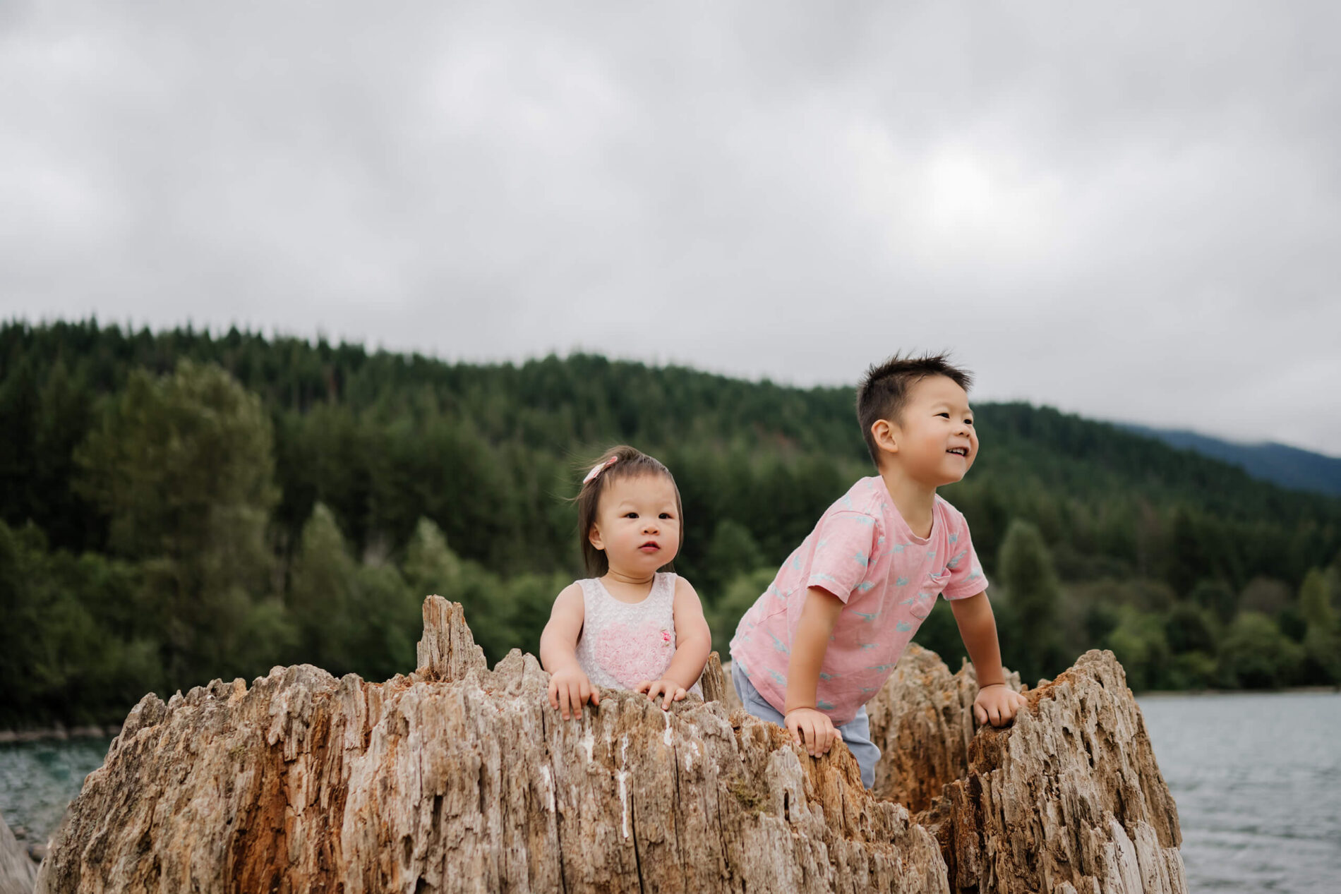 A fun moment during a Seattle family photo session. Two siblings having fun on top of a large tree trunk