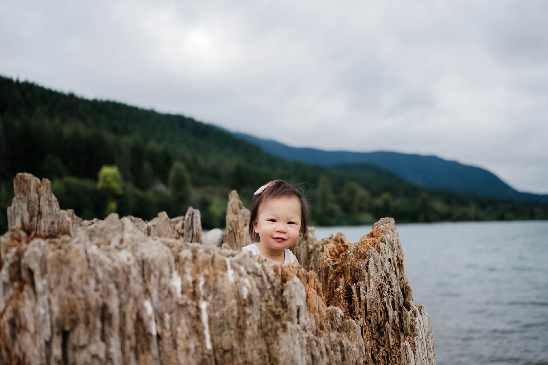 A portrait of a toddler on a tree trunk at Rattlesnake Lake
