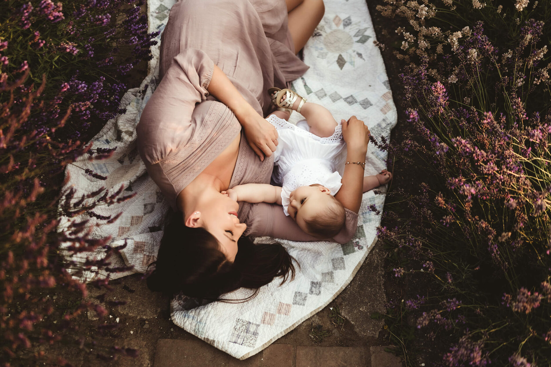 Family photography on a lavender farm in Sequim, WA