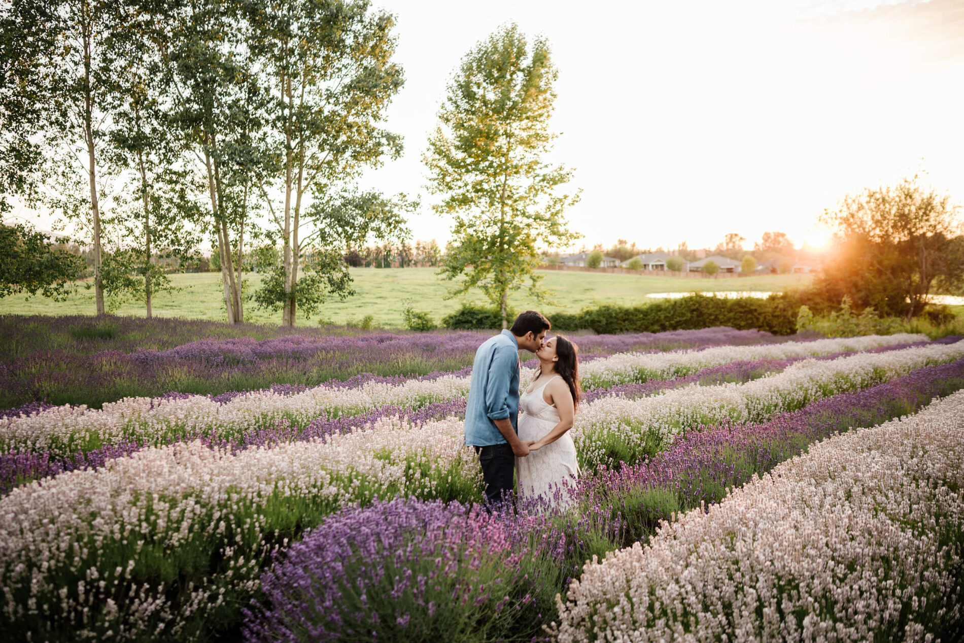 Pregnant couple kissing on a lavender farm in Seattle area during photoshoot